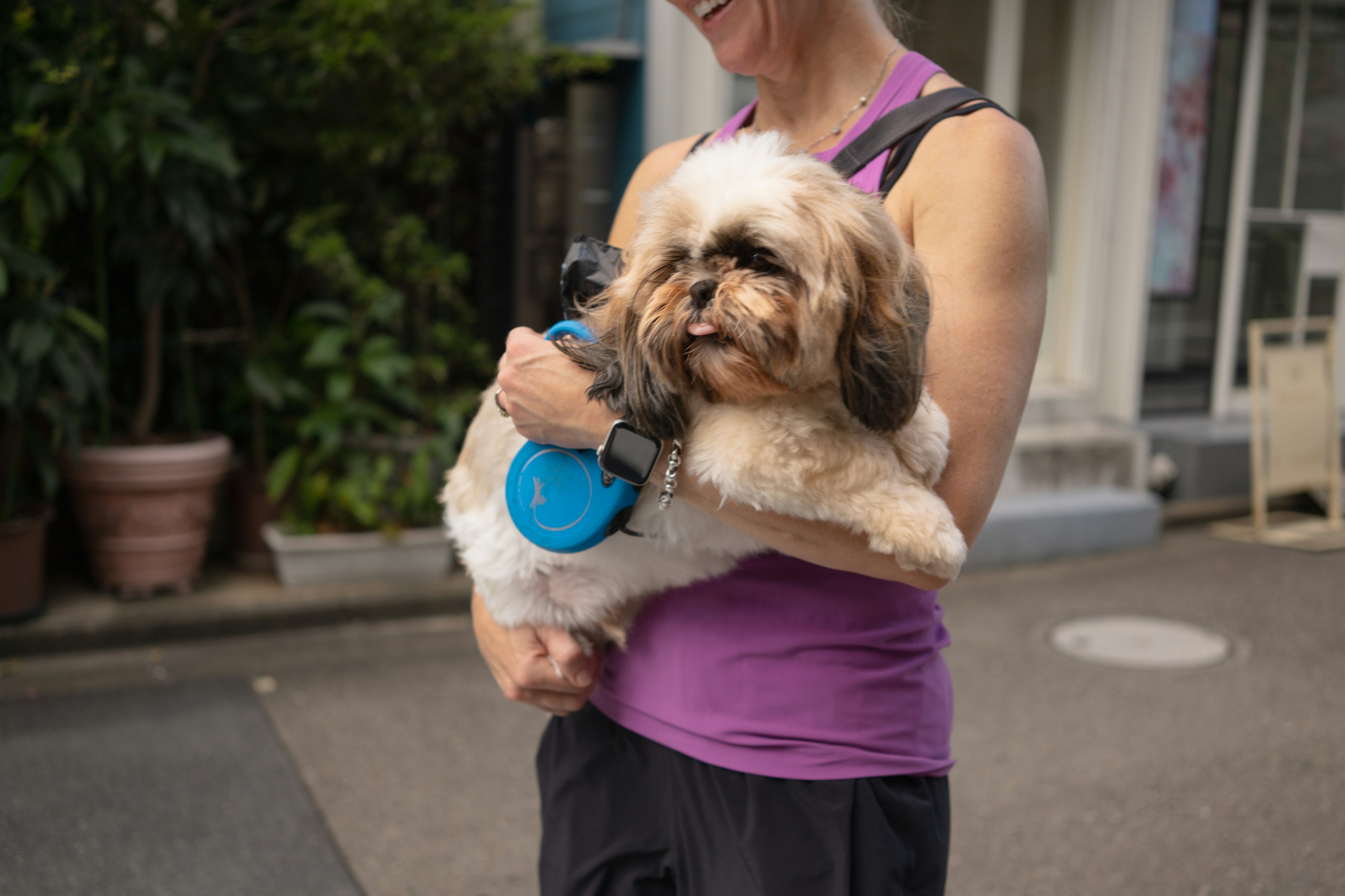 Une femme tenant un chien avec un pelage brun et blanc dans un cadre extérieur