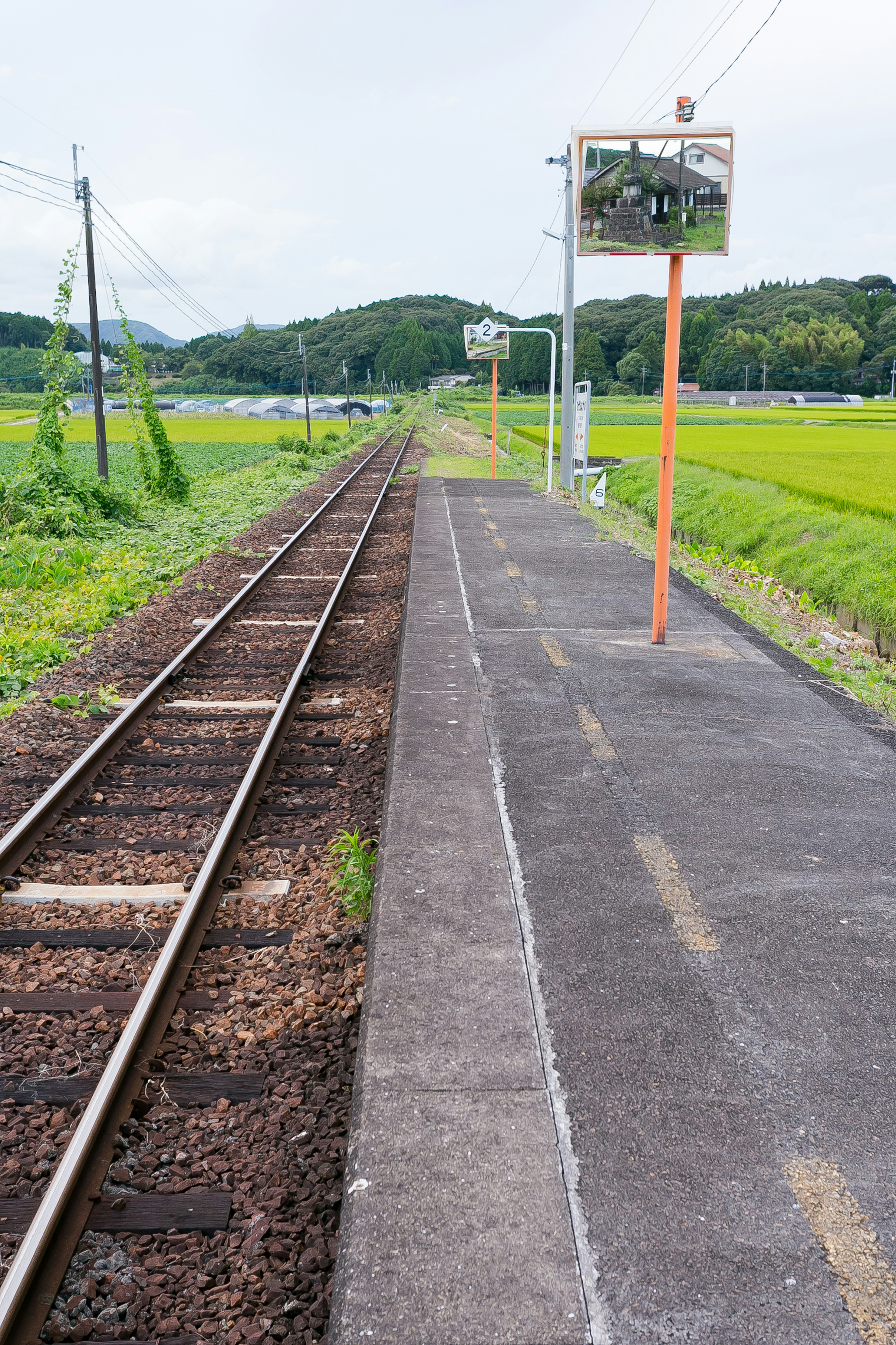 Estación de tren tranquila con vías rodeadas de campos de arroz