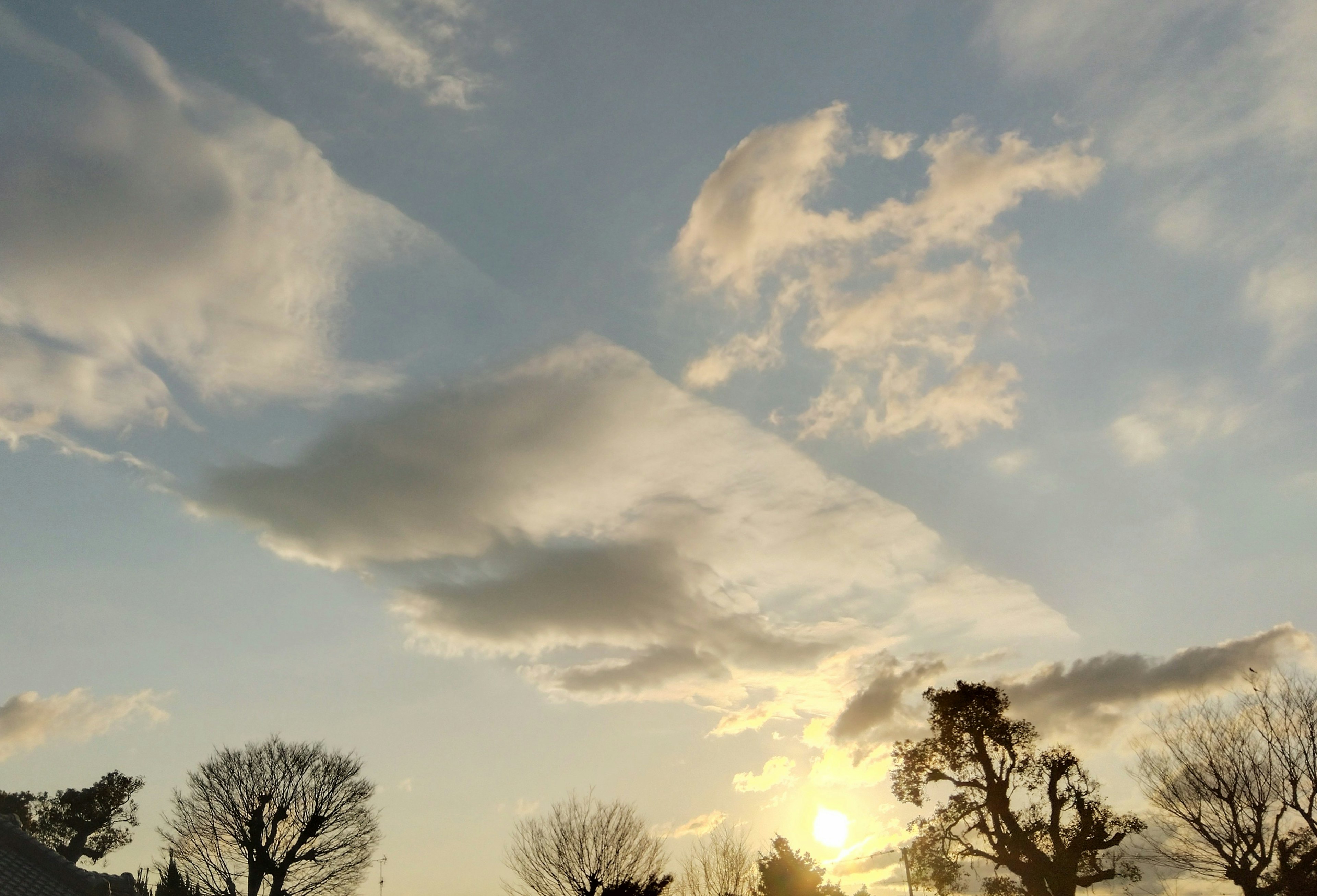 Ciel de coucher de soleil magnifique avec des nuages et des silhouettes d'arbres