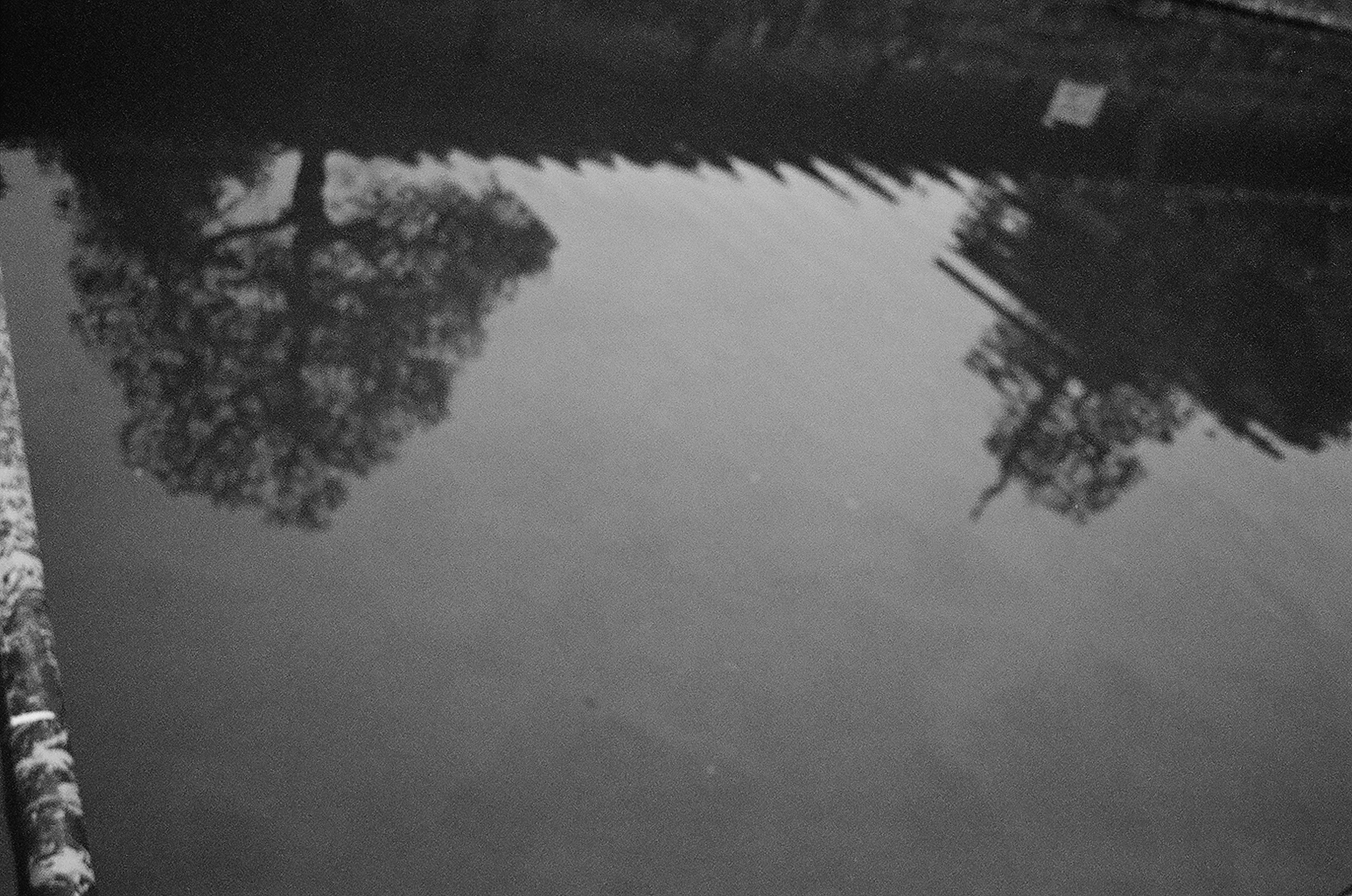 Reflection of trees and buildings on a still water surface