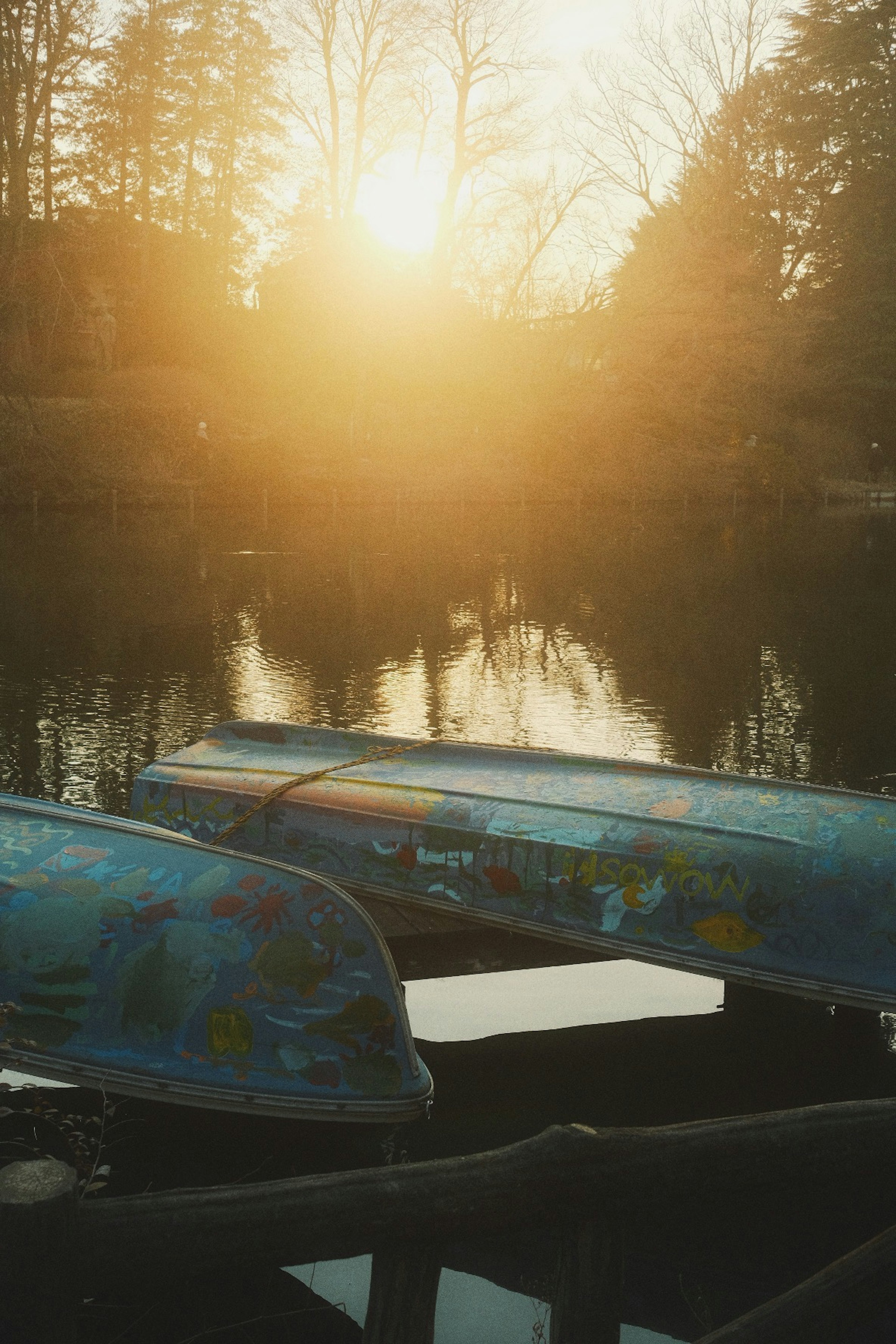 Botes coloridos amarrados en un lago que refleja el atardecer