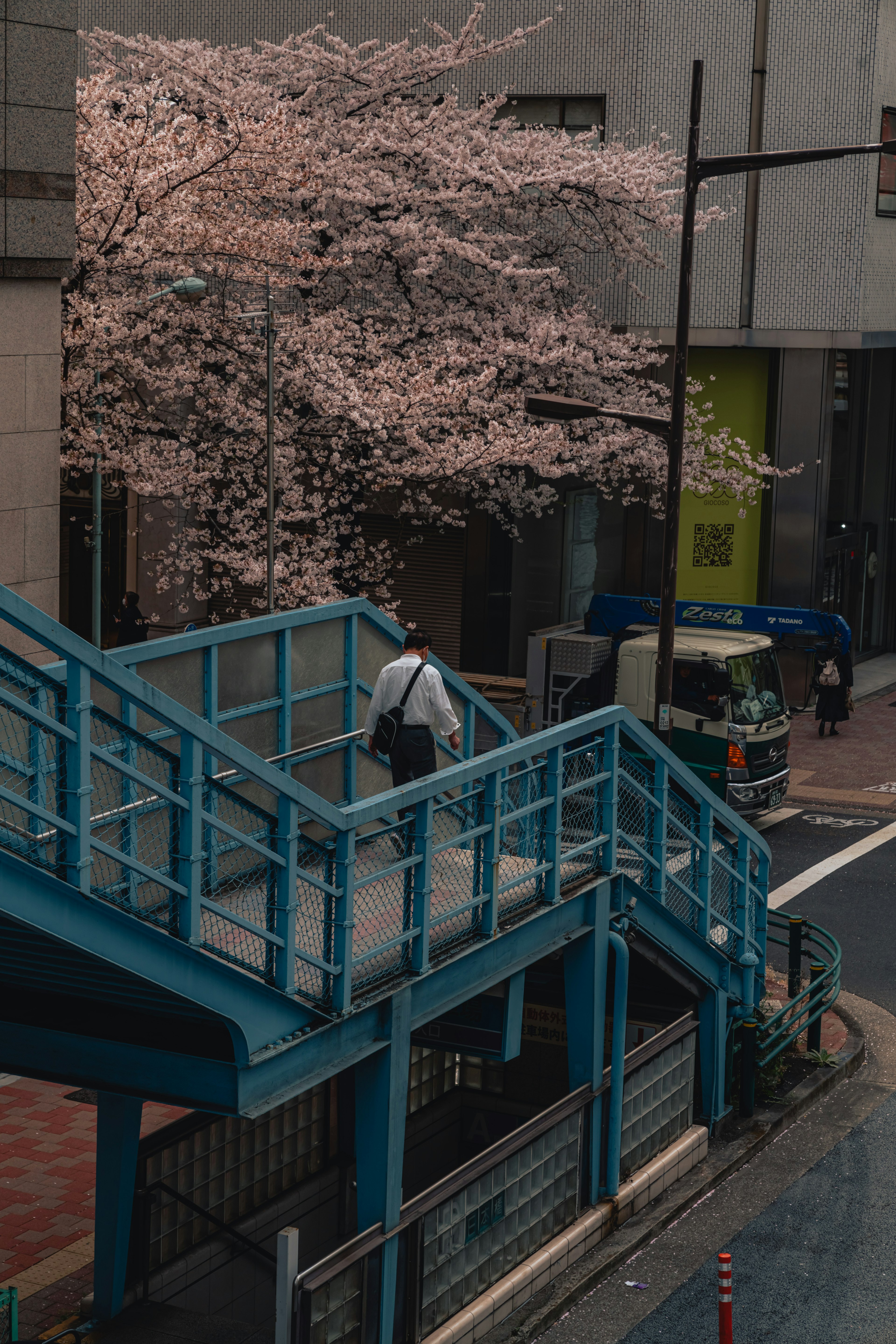 青い階段と桜の木がある都市の風景