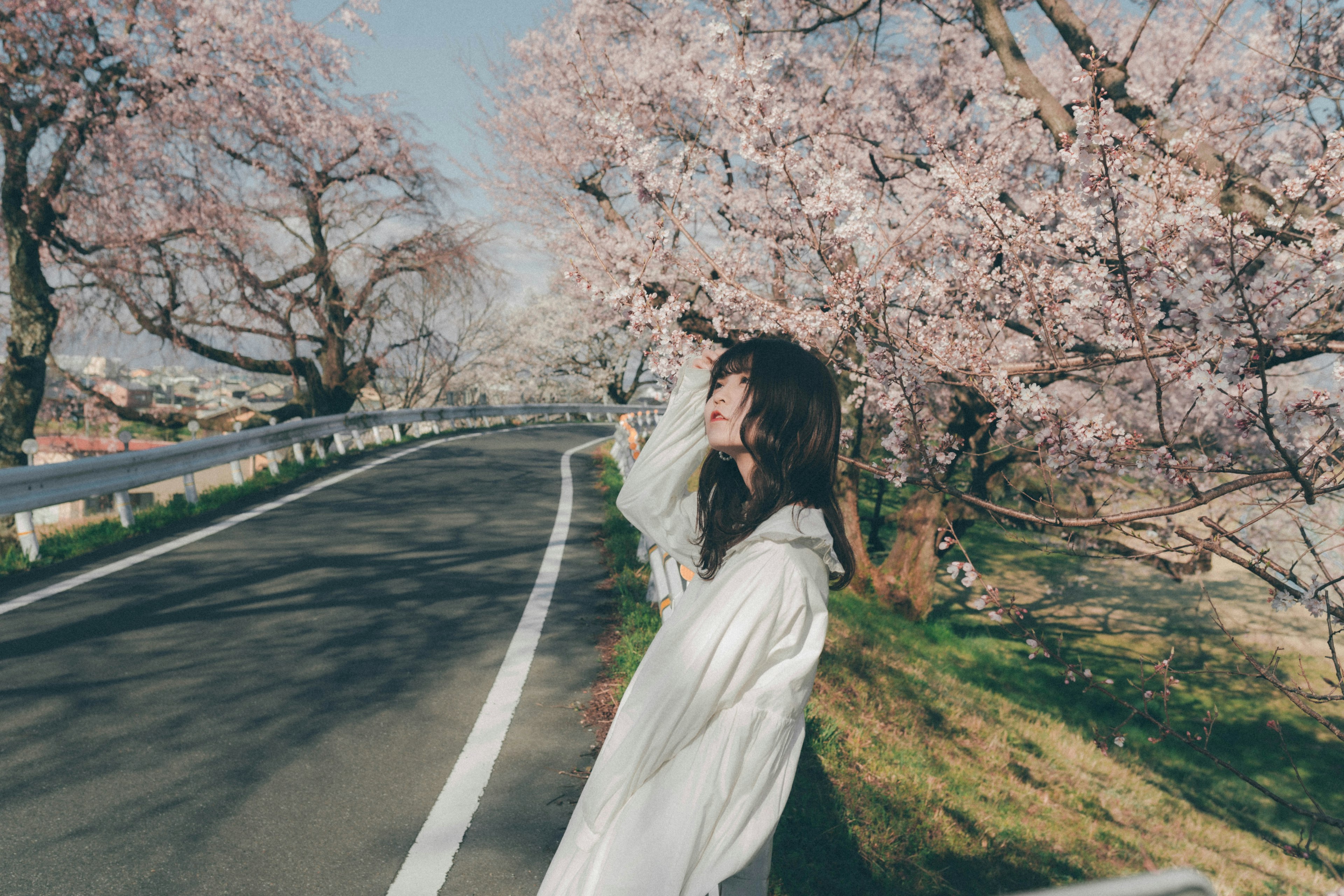 桜の木の下でポーズをとる女性の写真