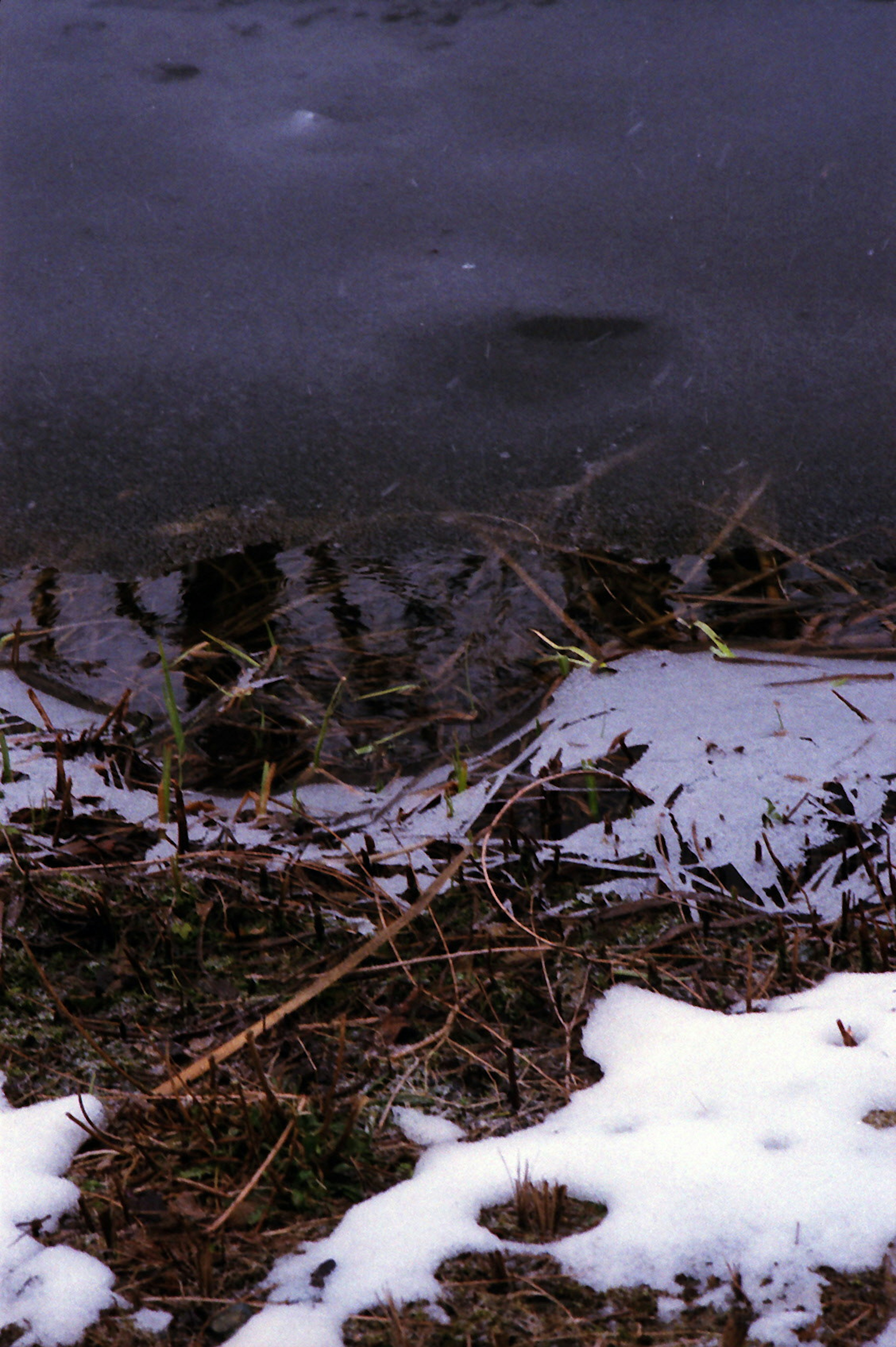 Winter scene with snow scattered on ice and dry grass