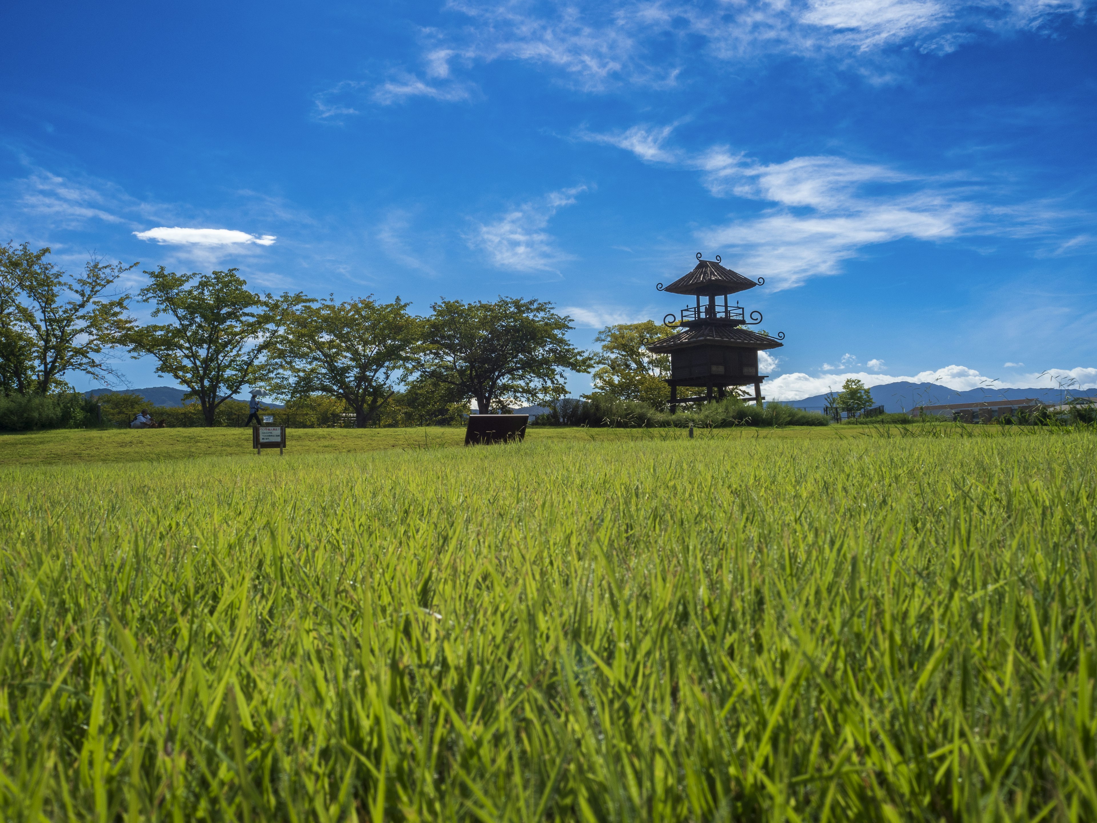 Traditional building surrounded by green rice fields under a blue sky