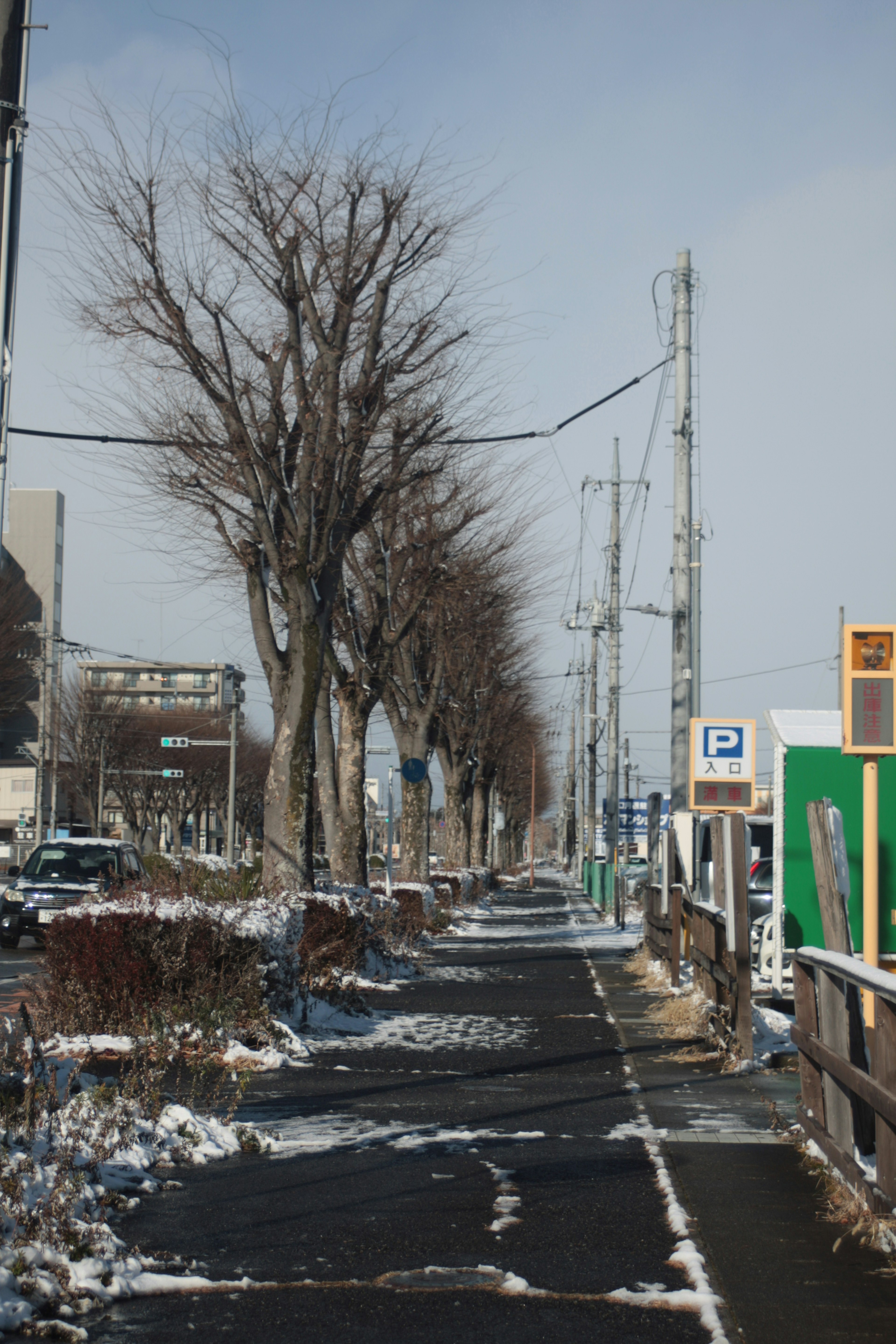 Pflasterweg mit Schneeresten gesäumt von kahlen Bäumen