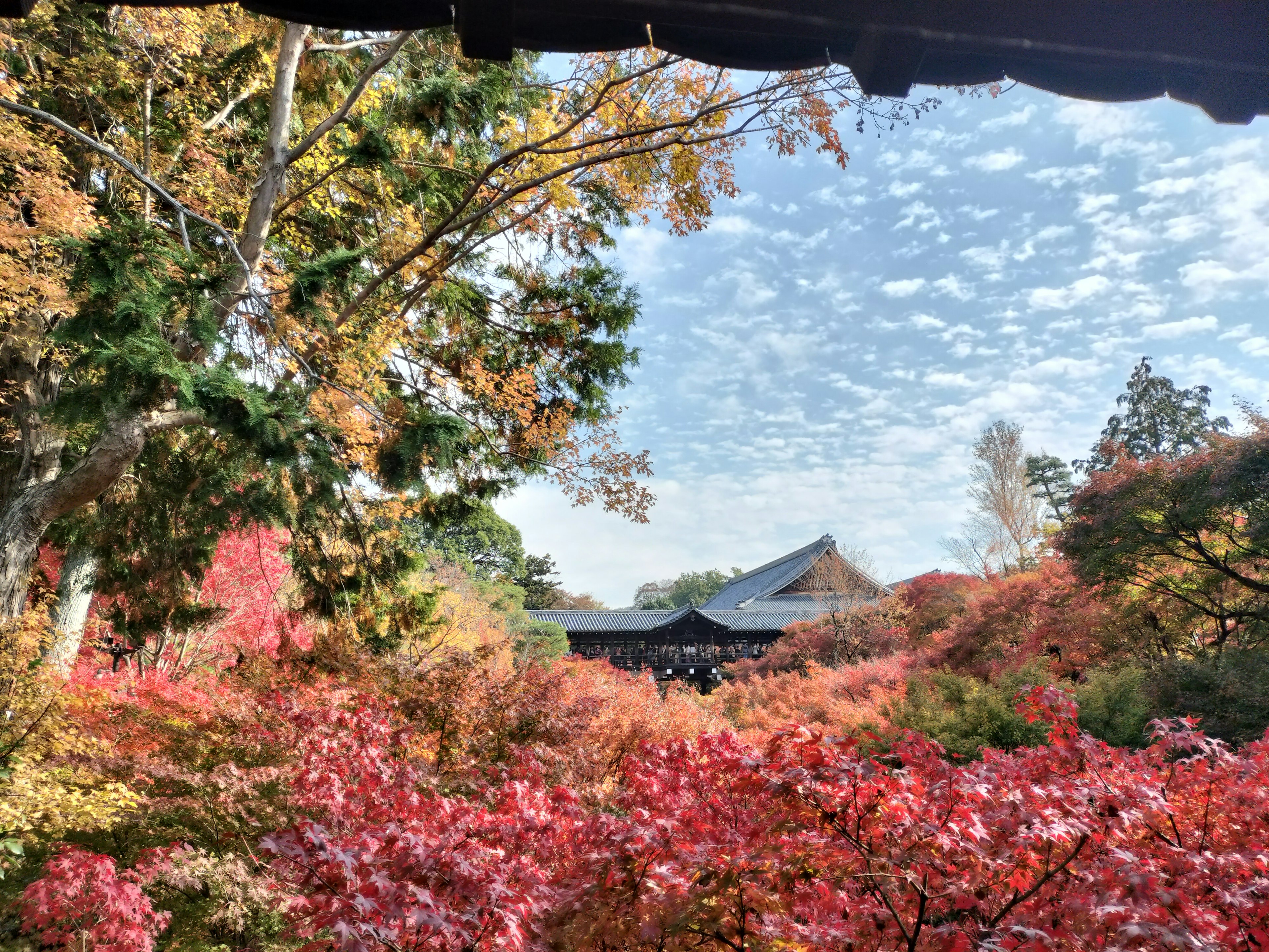 Traditionelles japanisches Gebäude umgeben von lebhaftem Herbstlaub und blauem Himmel