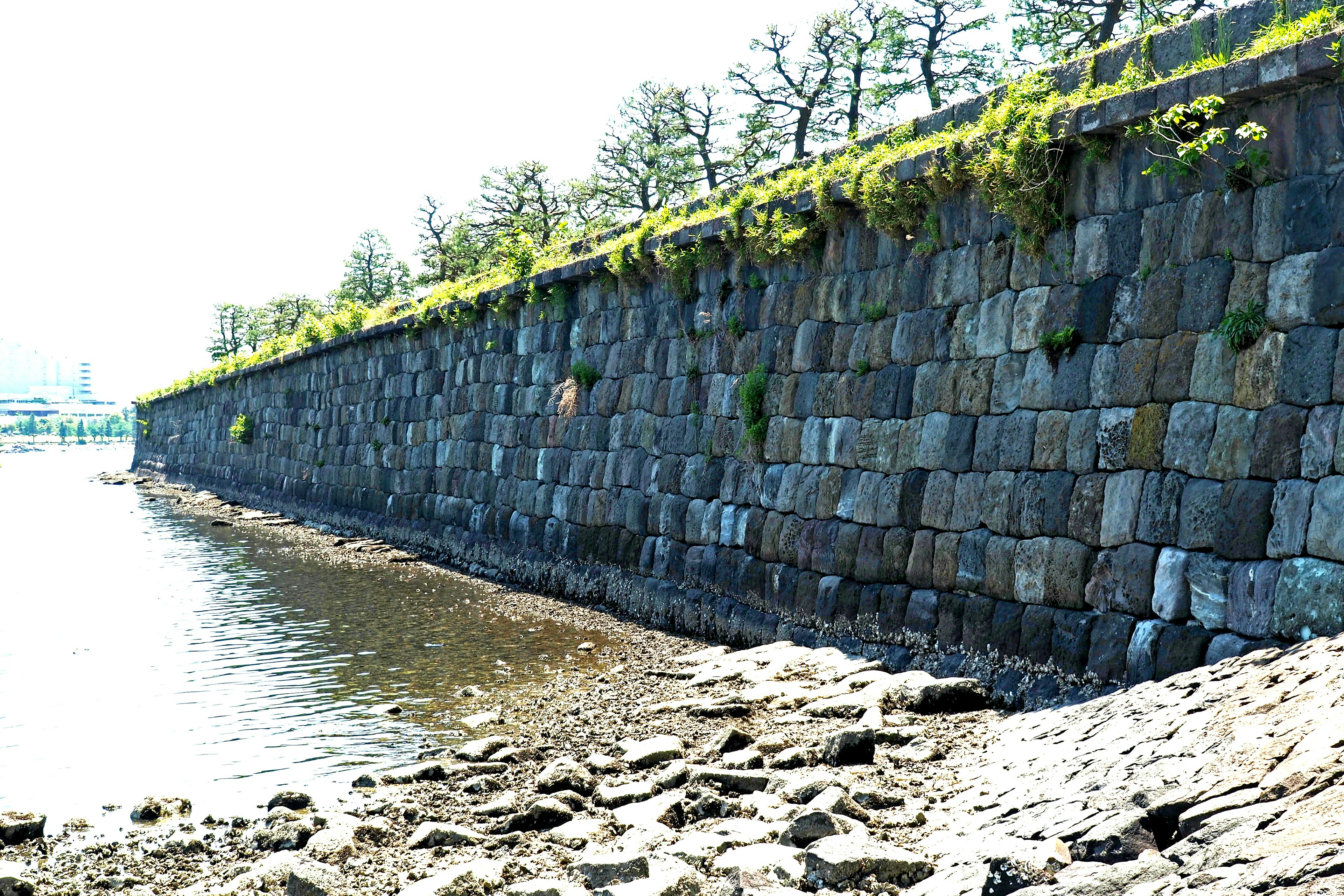 Stone embankment along a river with vegetation