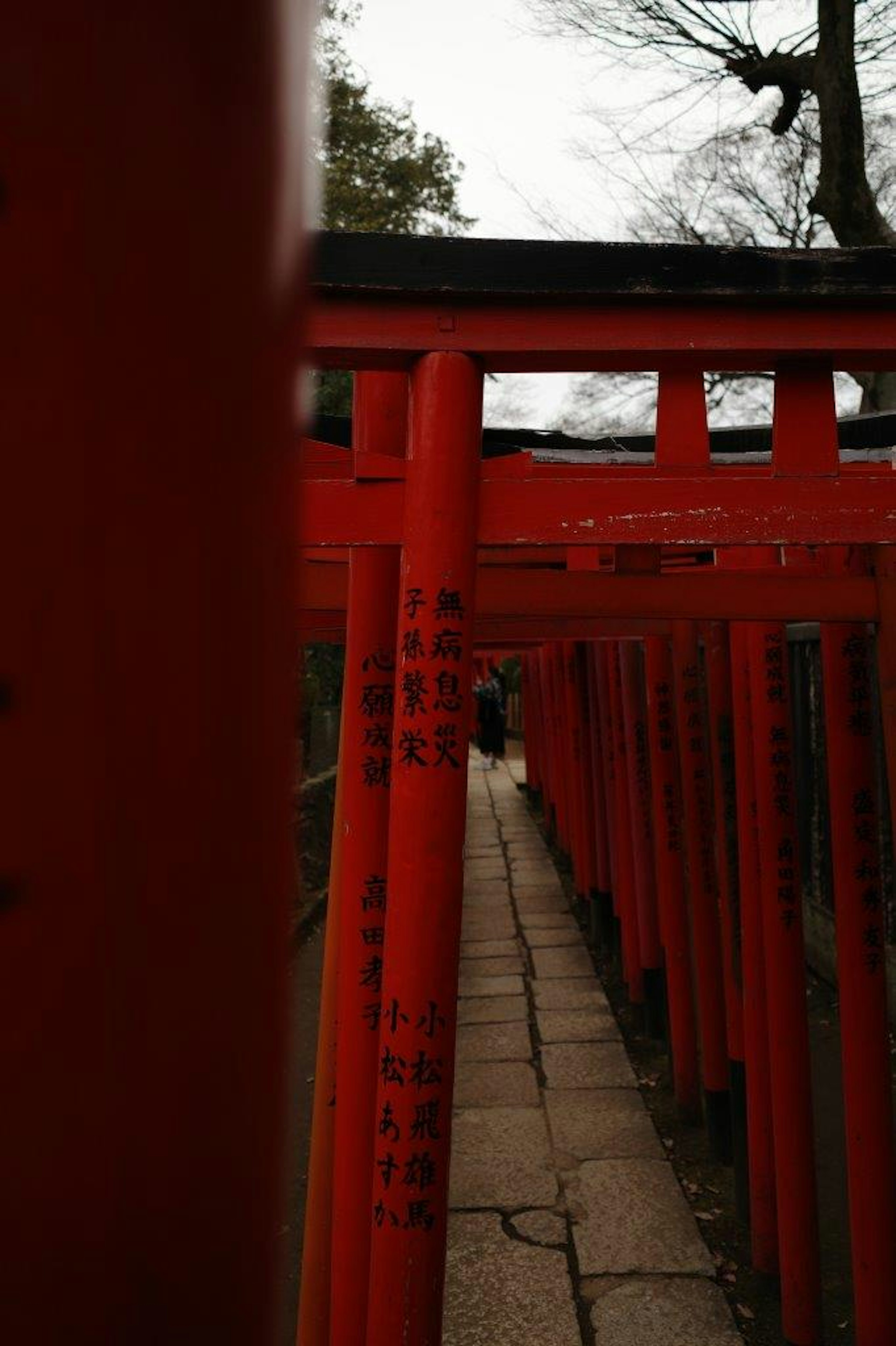 赤い鳥居が並ぶ道の景色