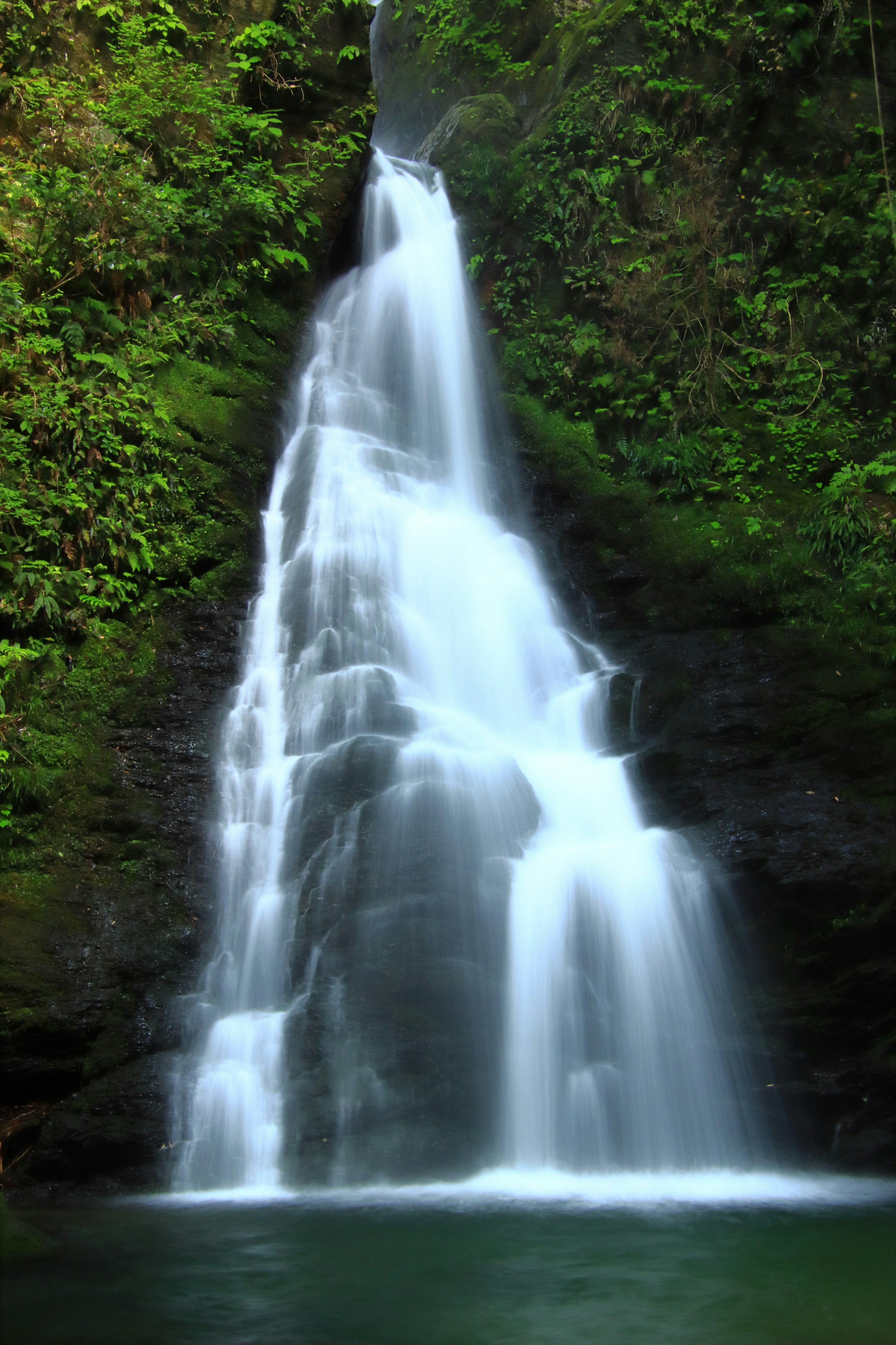 Gambar air terjun yang indah dikelilingi oleh pepohonan Aliran air yang halus menciptakan suasana tenang