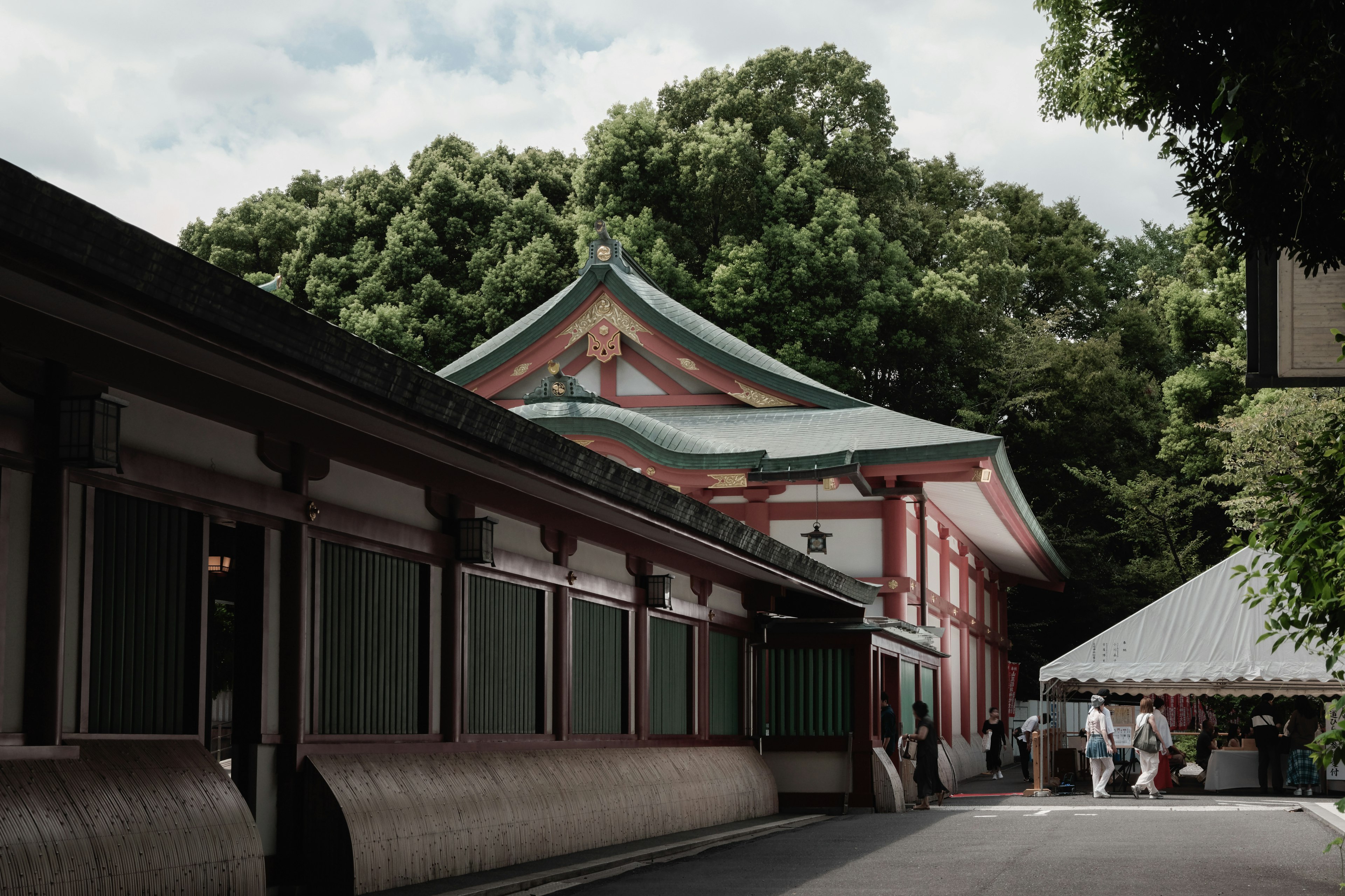 緑に囲まれた日本の伝統的な建物と屋根が見える風景