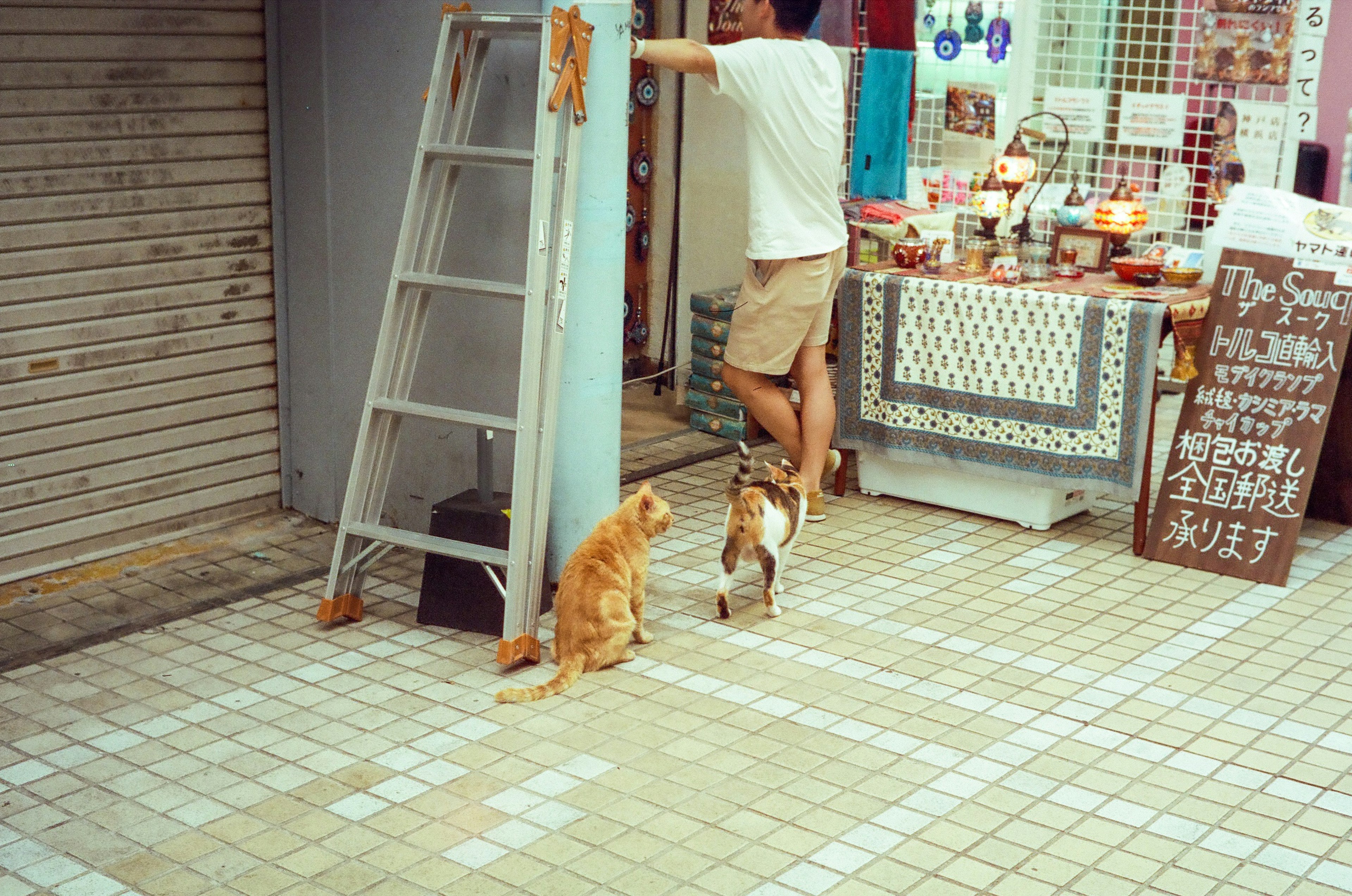 A person working in front of a shop with two cats