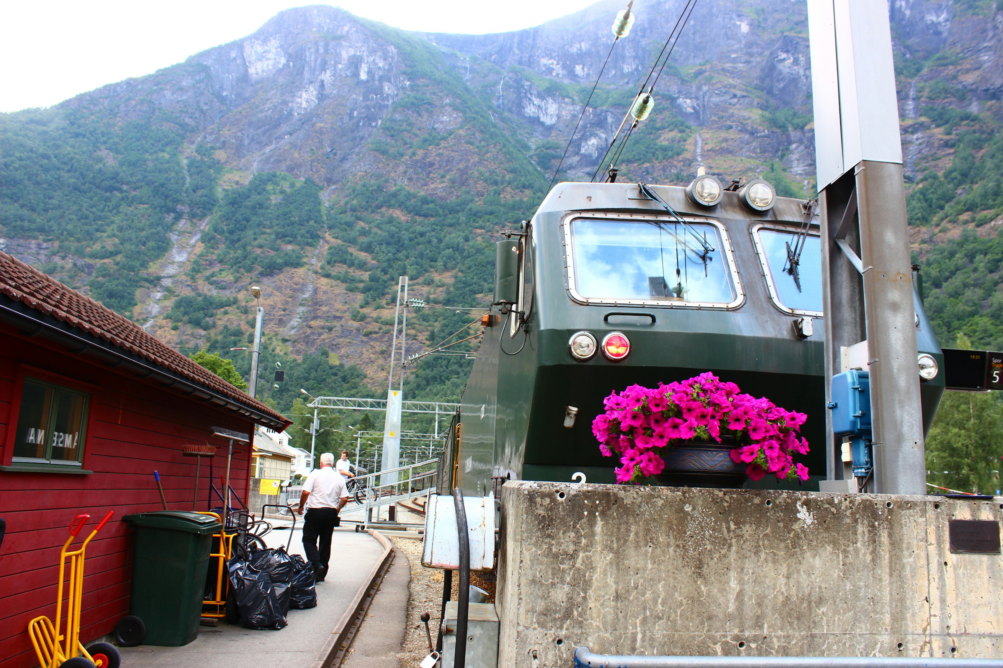 山の背景にある駅と花の飾りが施された列車