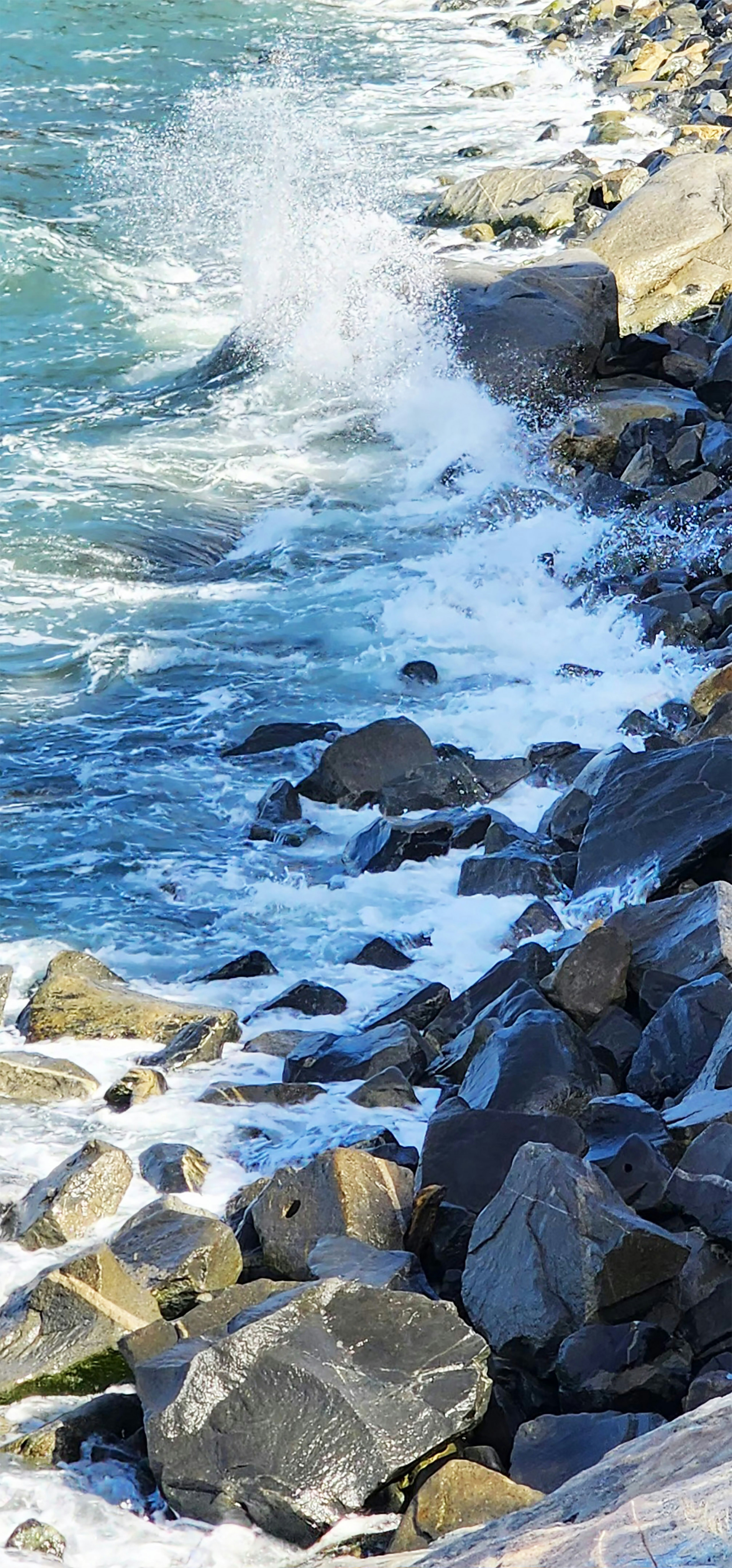 Vista costiera con onde che si infrangono contro le rocce