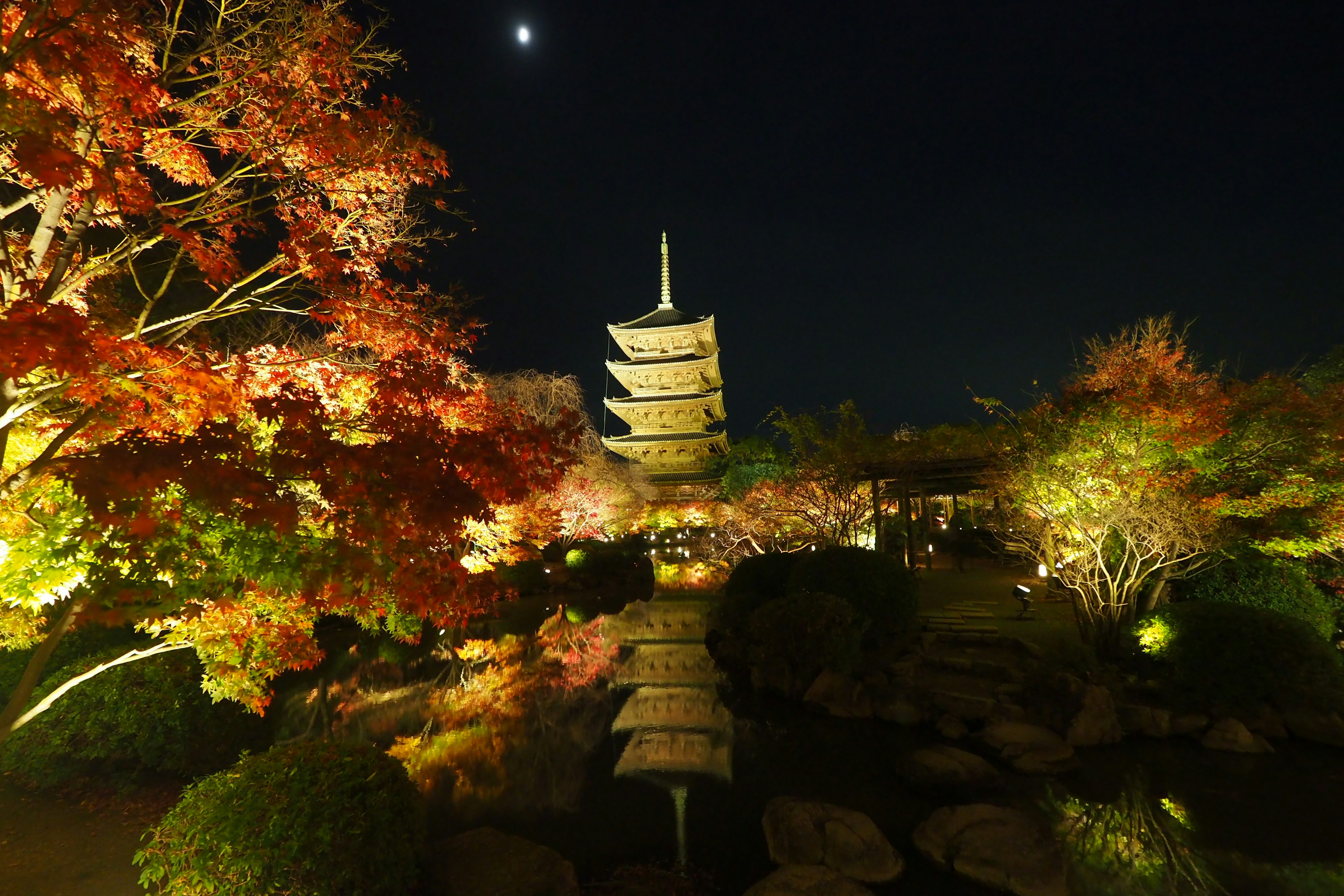 Wunderschöne Aussicht auf einen japanischen Garten bei Nacht mit Herbstblättern und einer Pagode