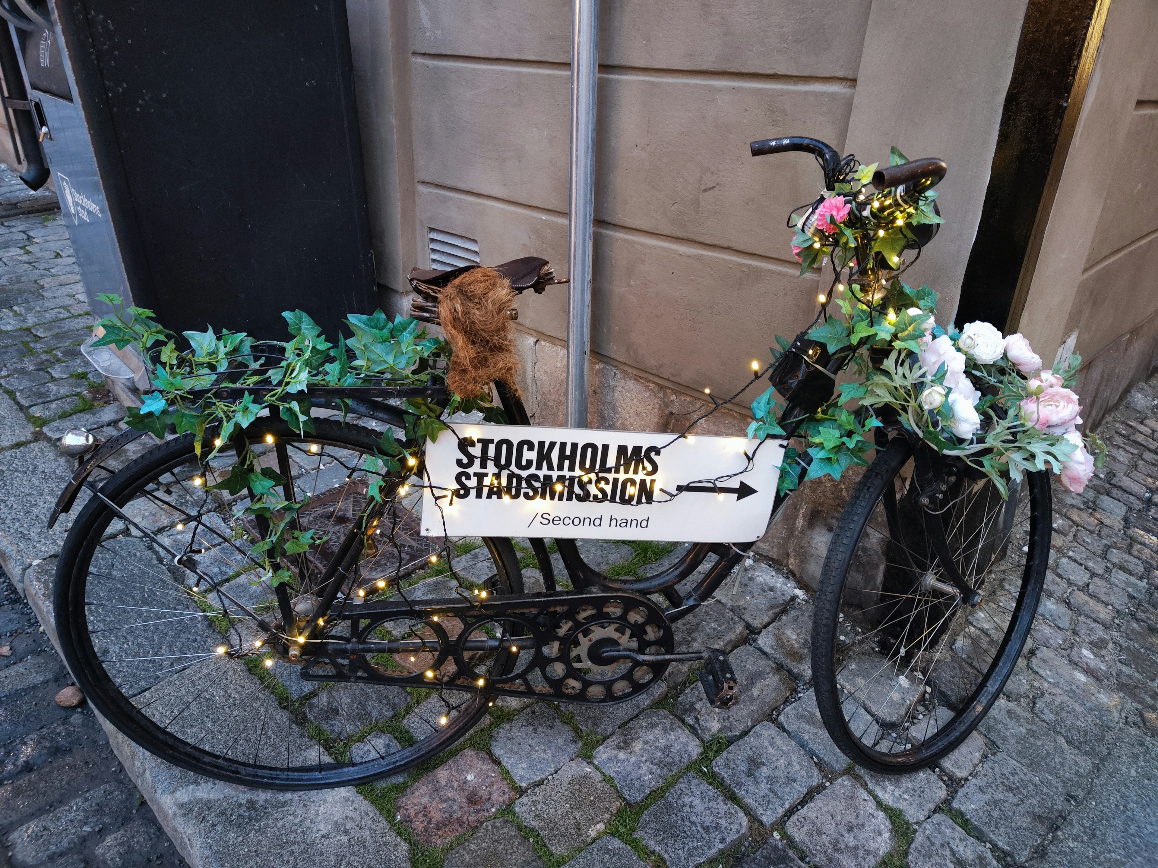 A bicycle adorned with flowers and lights features a dog sitting on it with a Stockholm sign