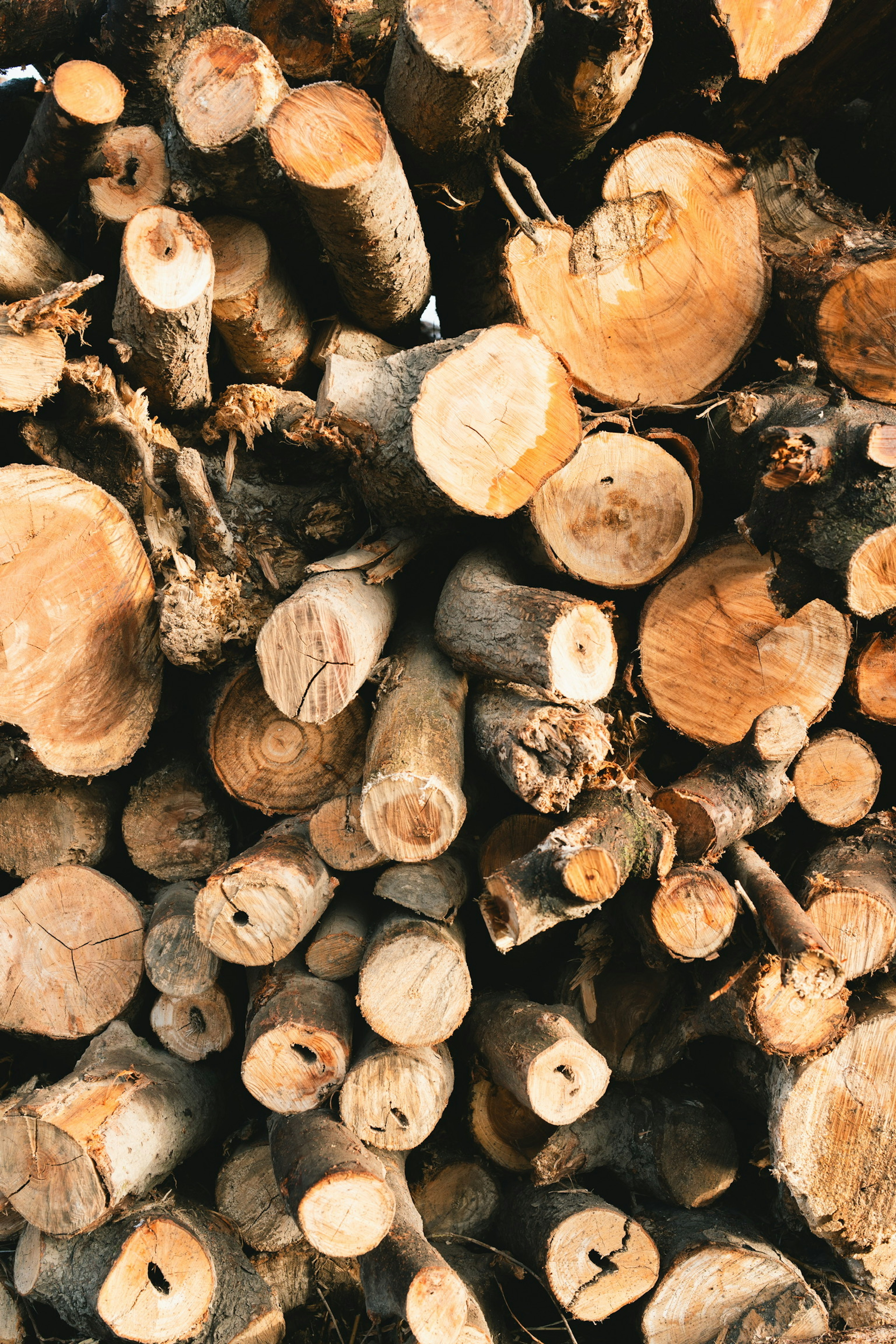 A pile of stacked logs with varying diameters