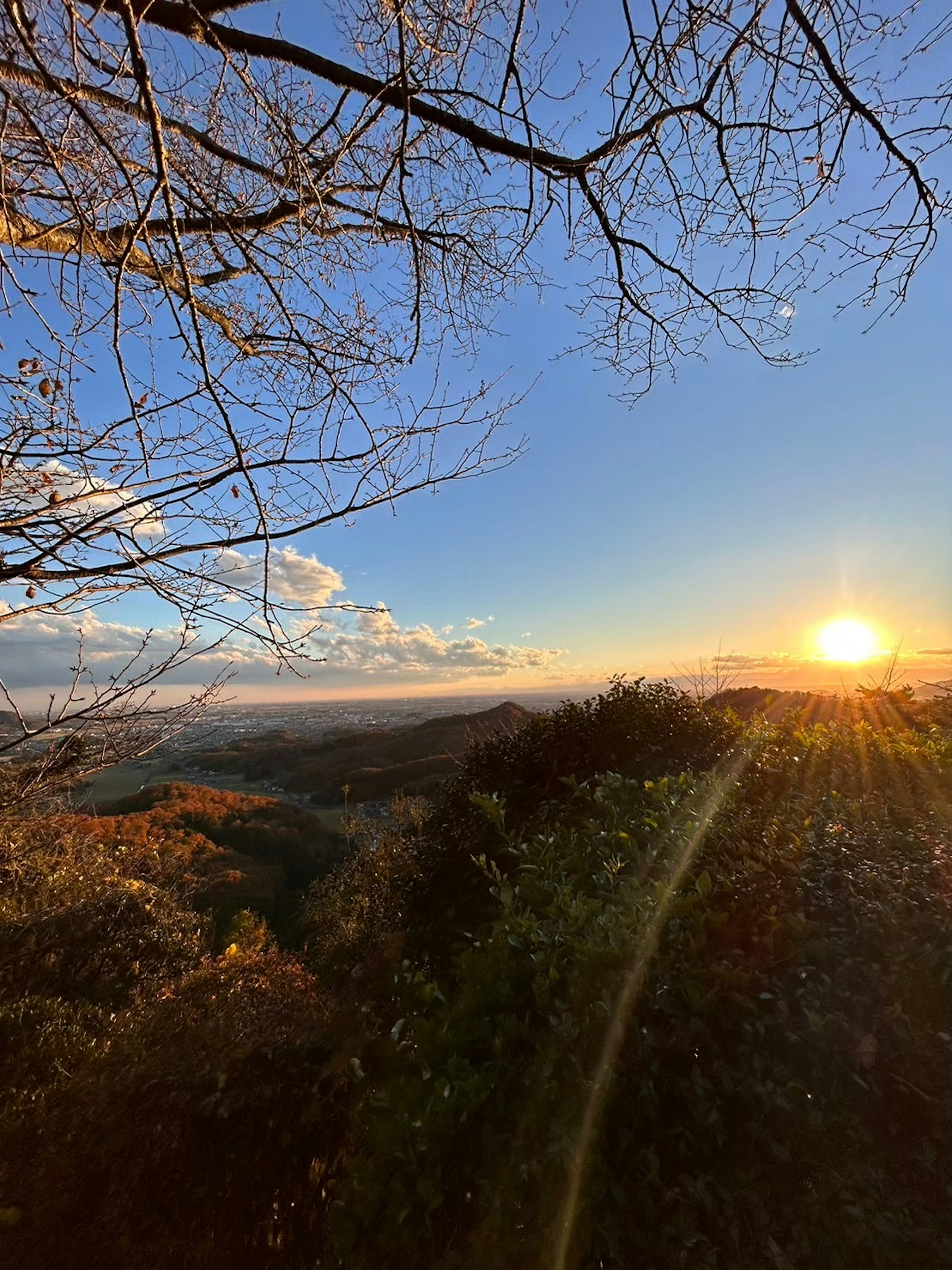 夕日が美しく輝く山の景色 寒い季節の木々と空の色合い