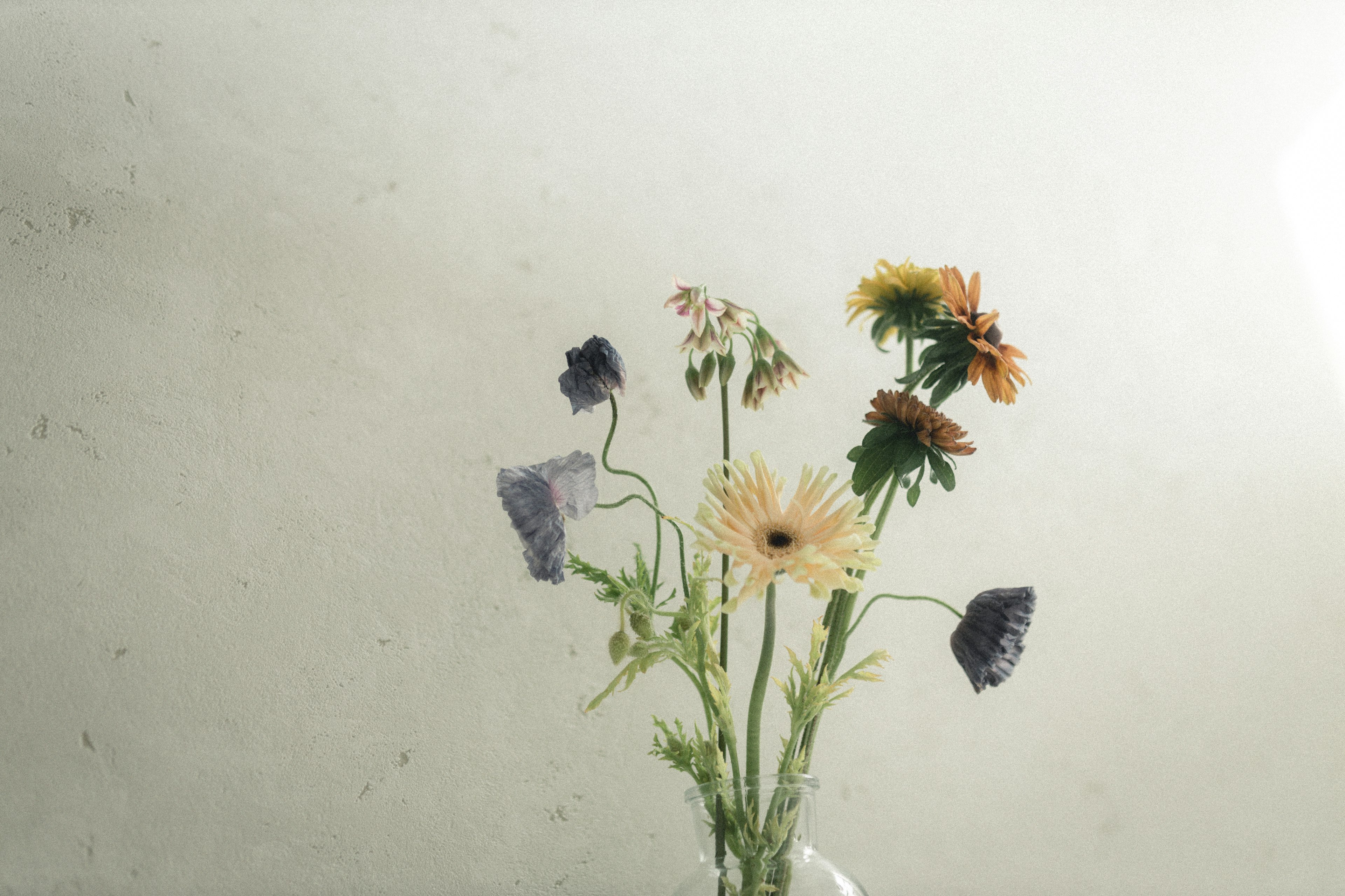 透明な花瓶に入った色とりどりの花たち