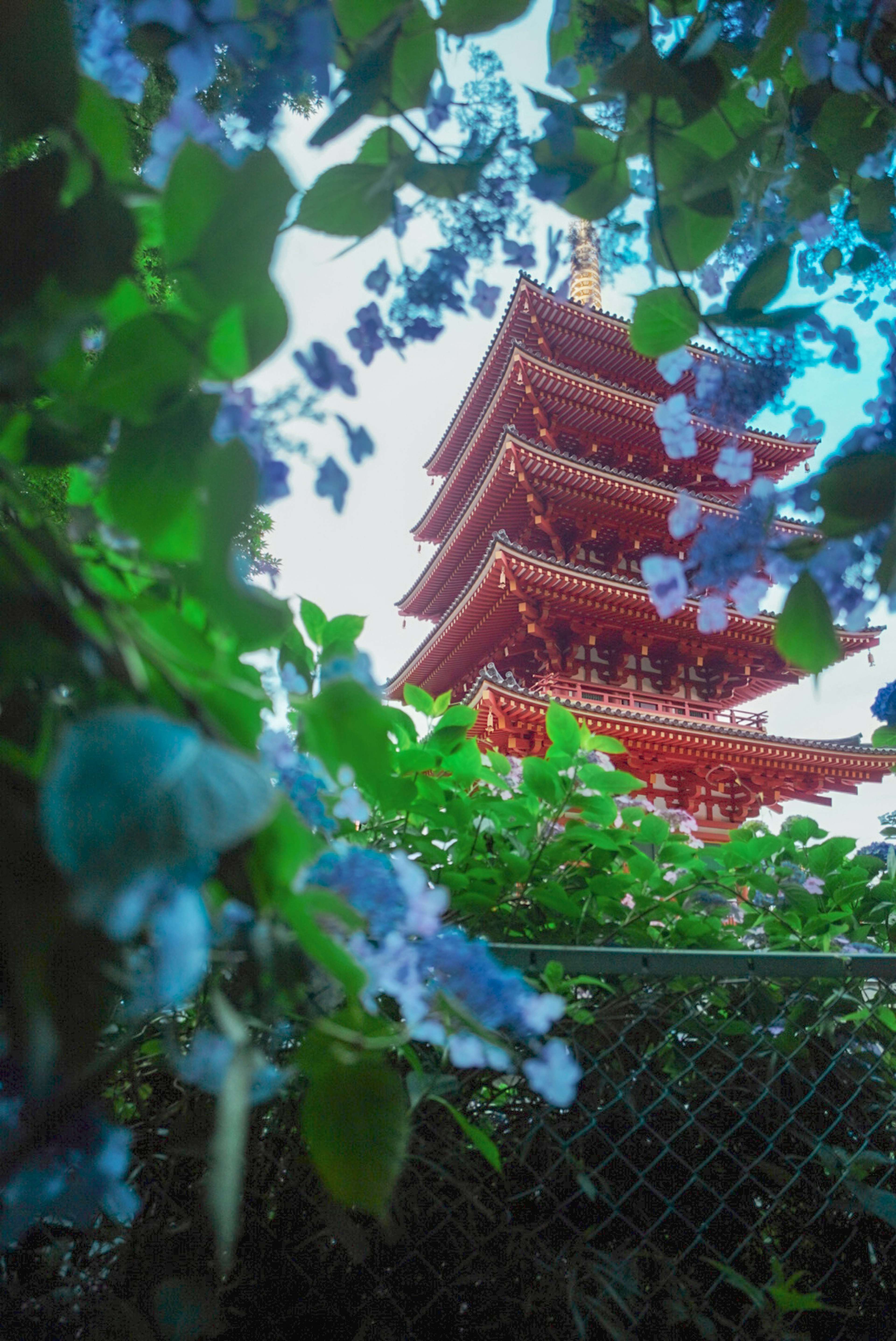 Pagoda merah dikelilingi bunga biru dan daun hijau