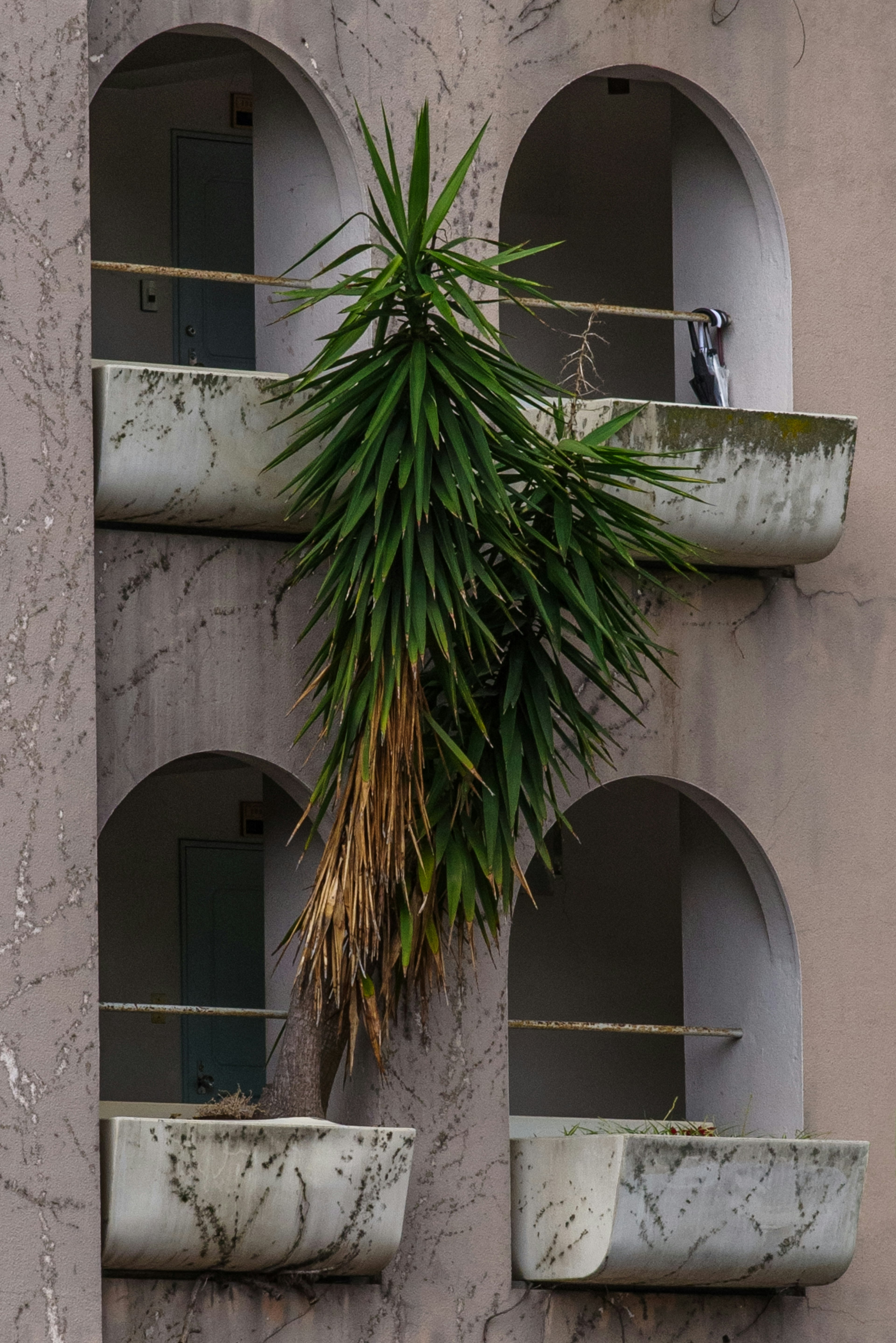 Extérieur d'un bâtiment avec des balcons ornés de plantes vertes luxuriantes