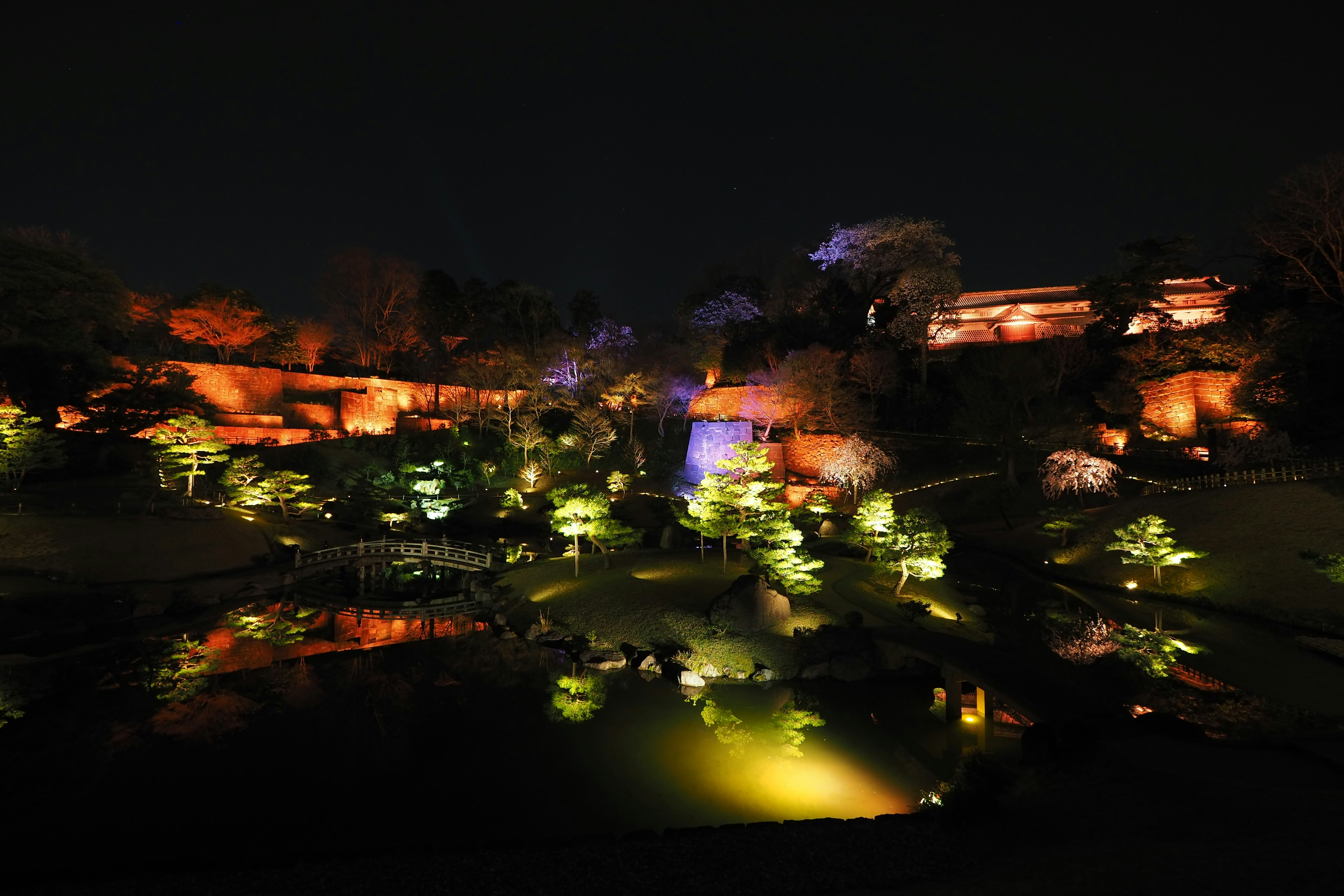 Bellissimo paesaggio del giardino illuminato di notte con uno stagno e vegetazione lussureggiante