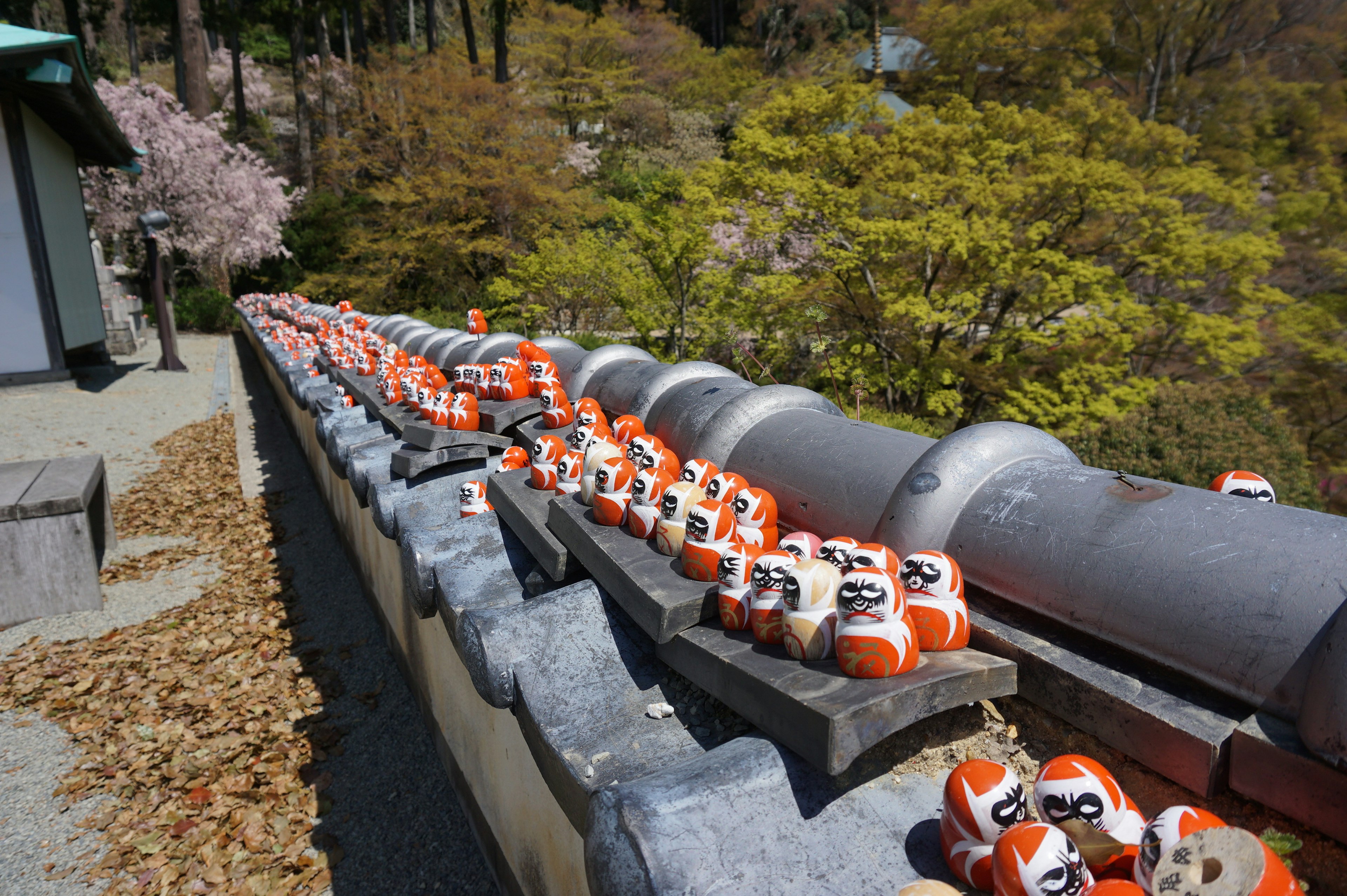 A row of daruma dolls displayed along a stone ledge surrounded by vibrant greenery