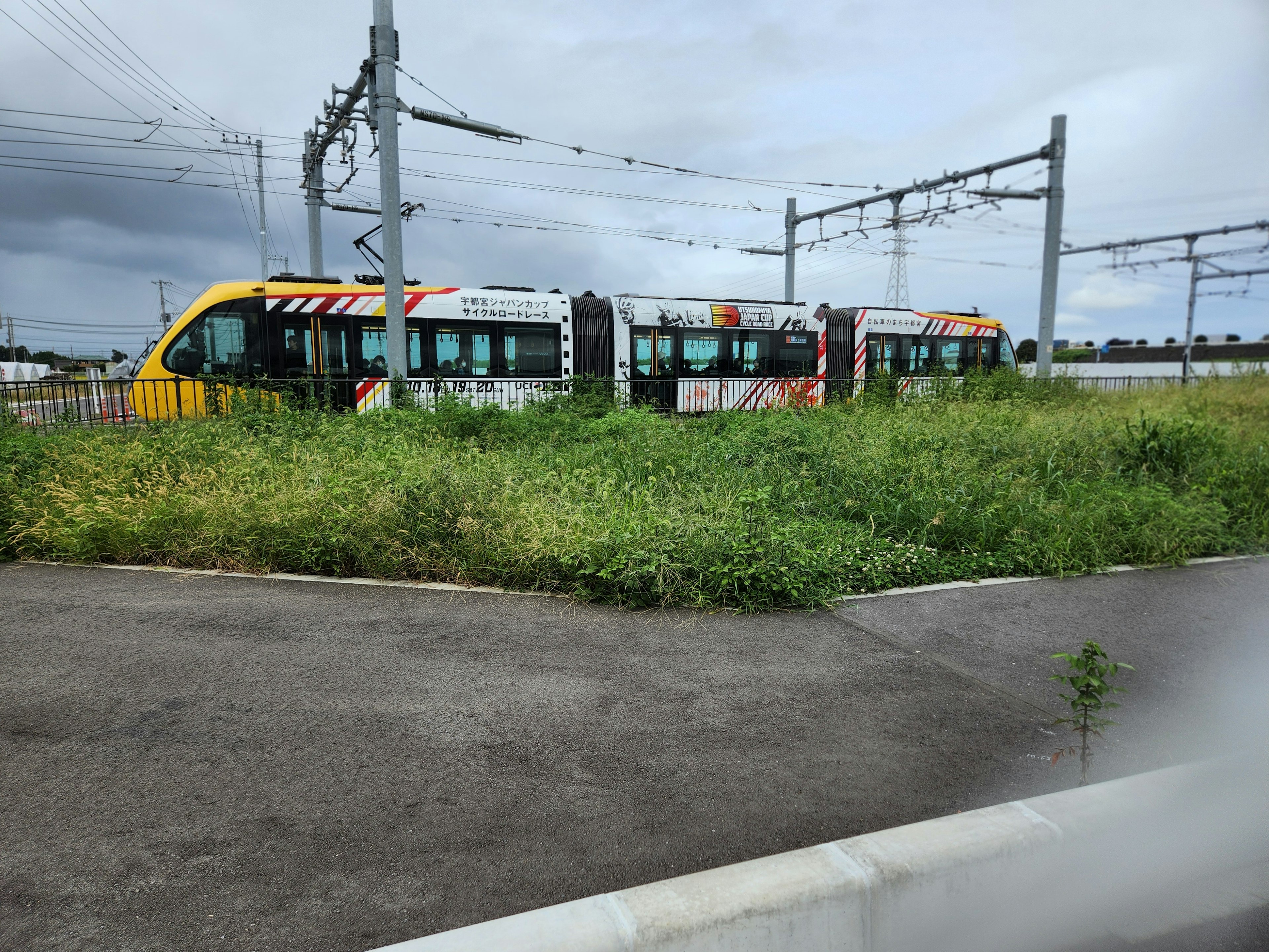 Tren rodeado de hierba alta cerca de las vías