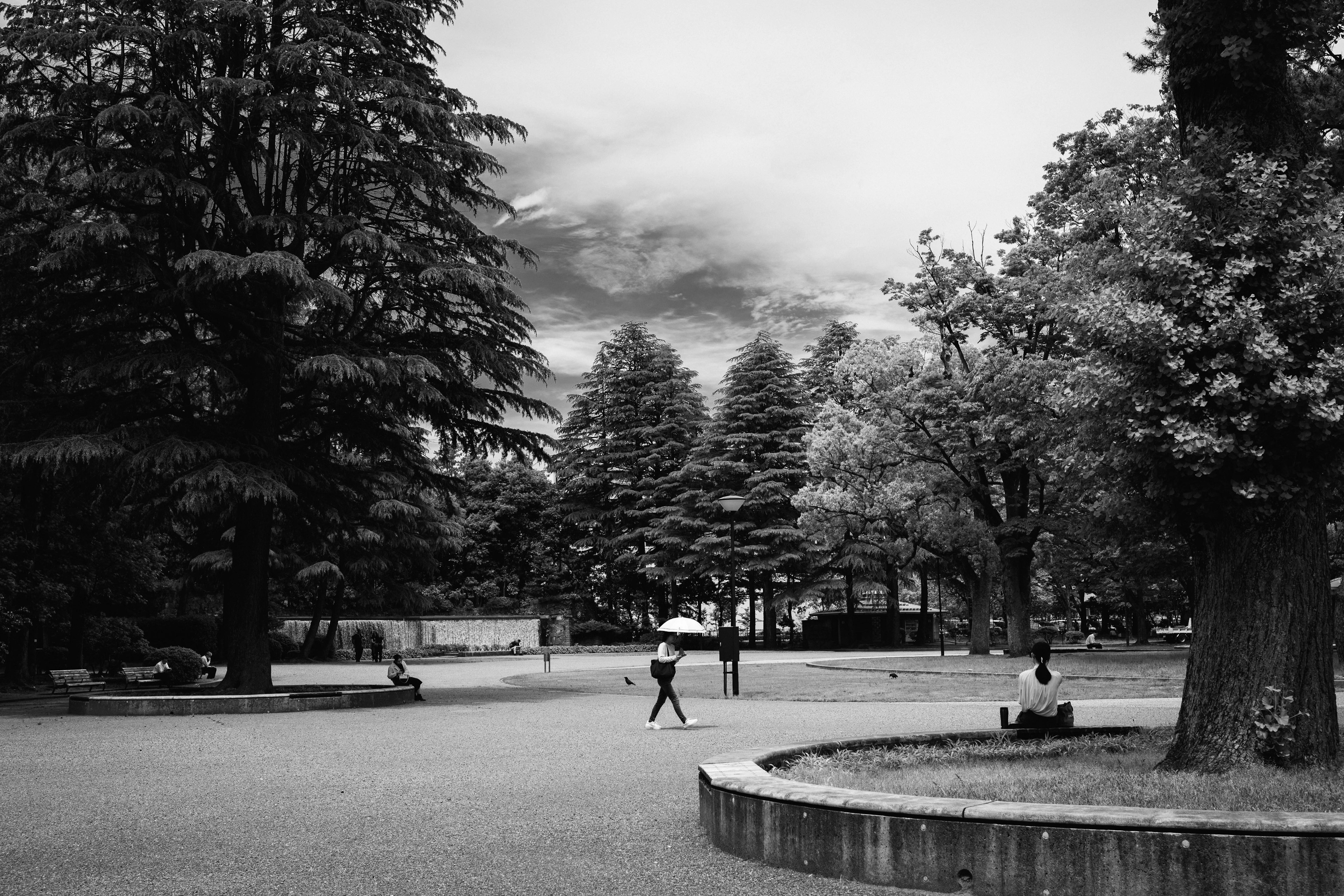 A serene park scene with people walking