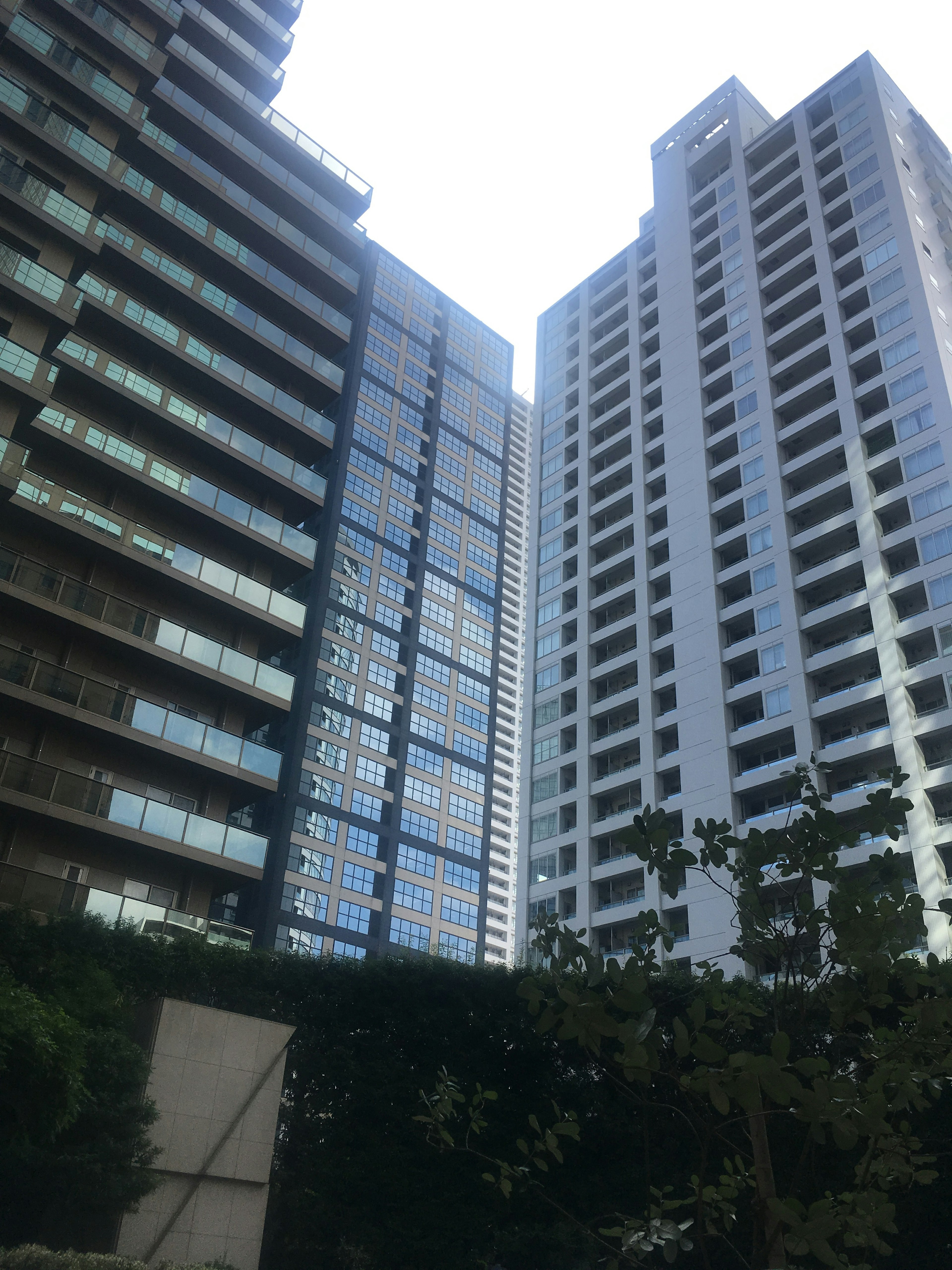 Urban landscape featuring skyscrapers with glass facades and greenery