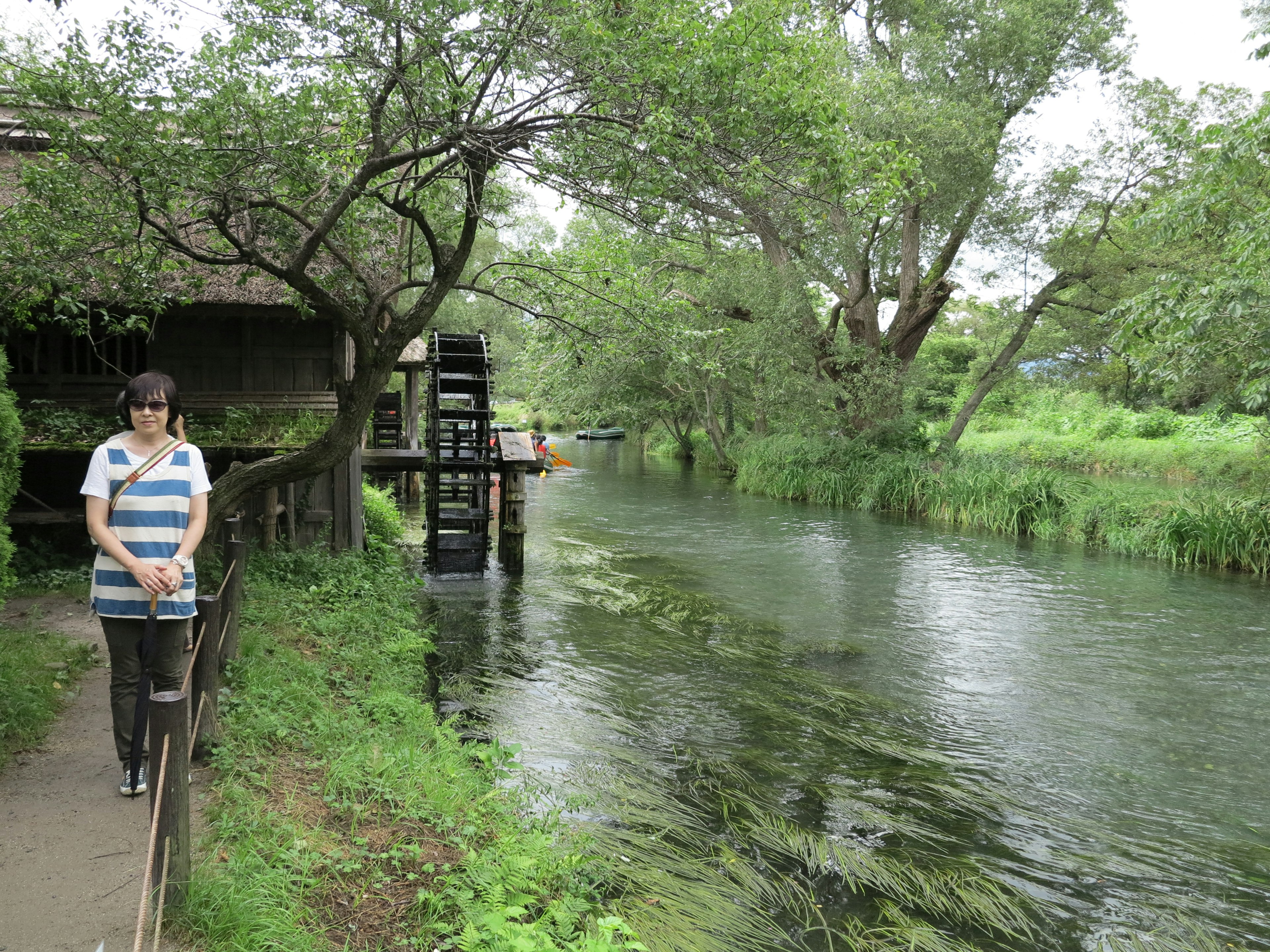 川の近くに立つ女性と緑豊かな風景