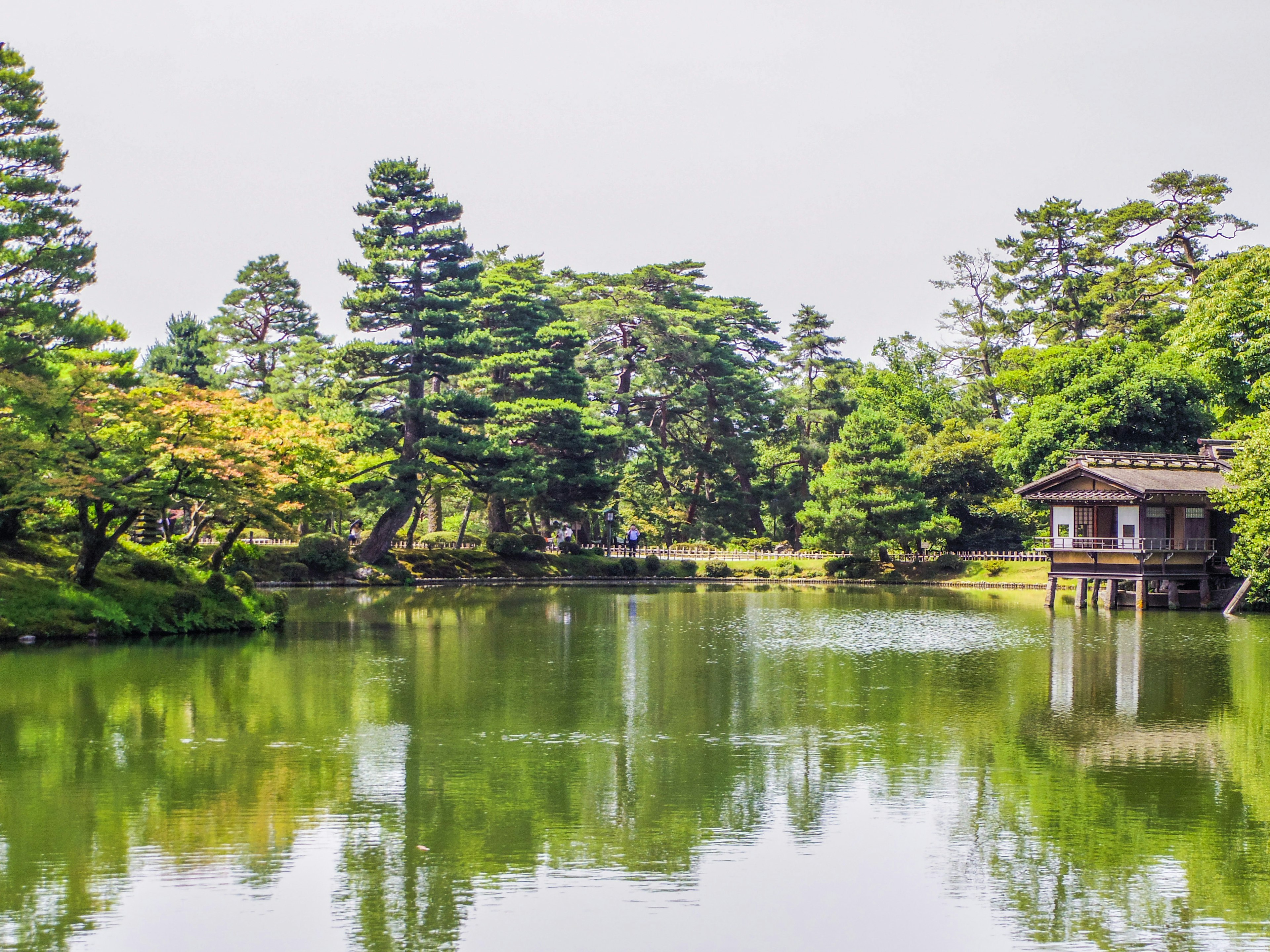 Traditional building surrounded by a serene pond and lush greenery