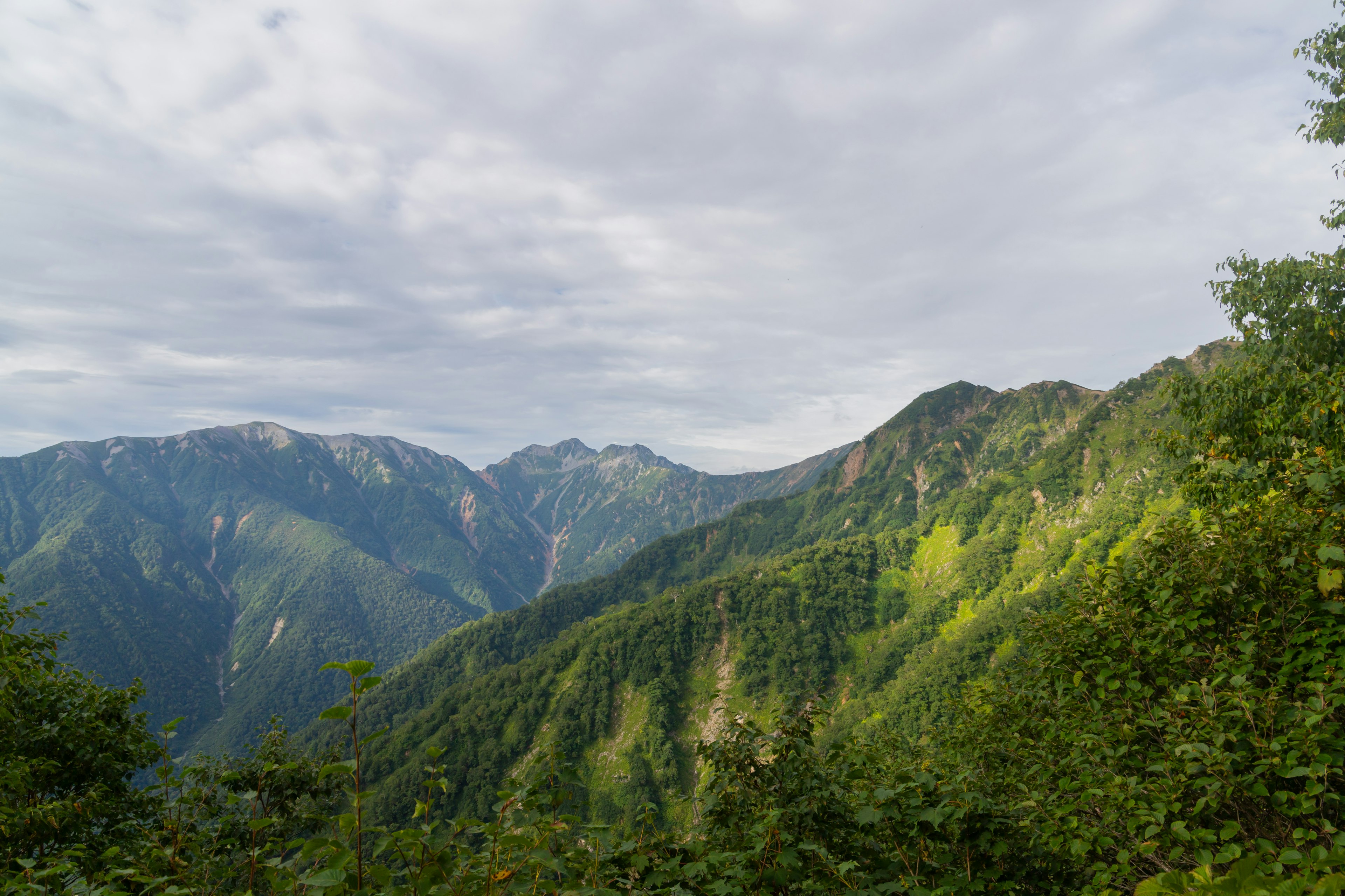 Üppige grüne Berglandschaft mit bewölktem Himmel