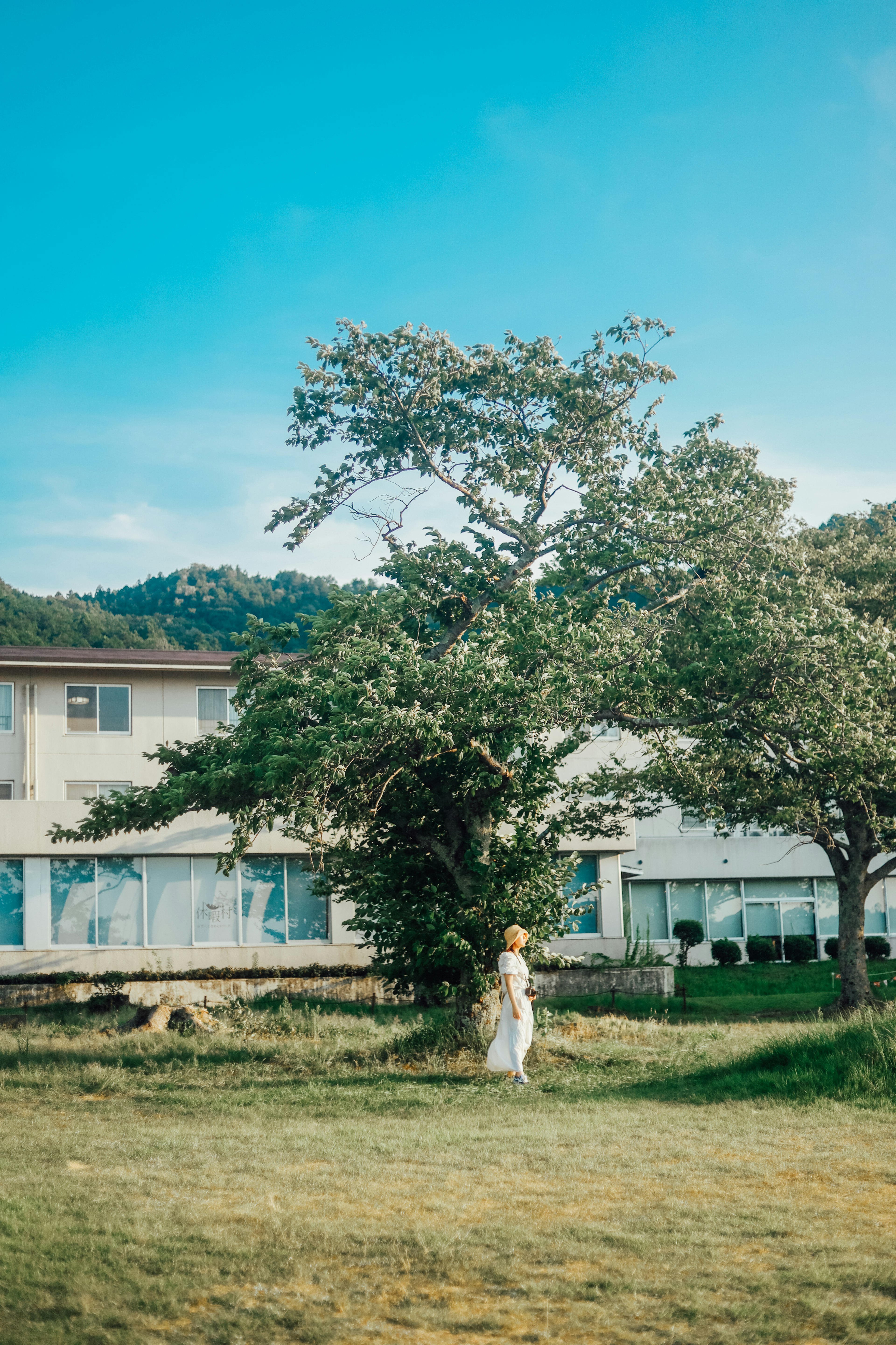 Eine Frau in einem weißen Kleid steht unter einem blauen Himmel neben einem großen Baum