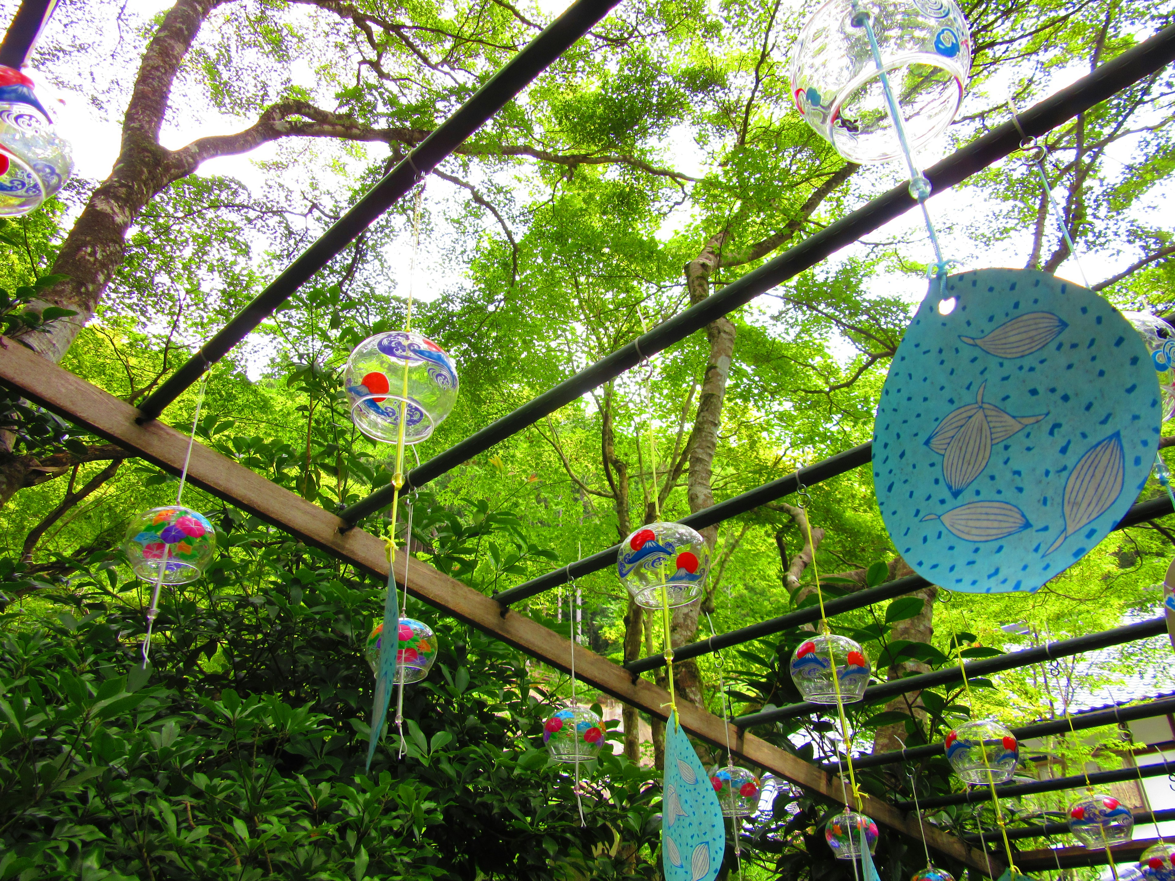 Carillons colorés et décorations suspendus sous des arbres verts