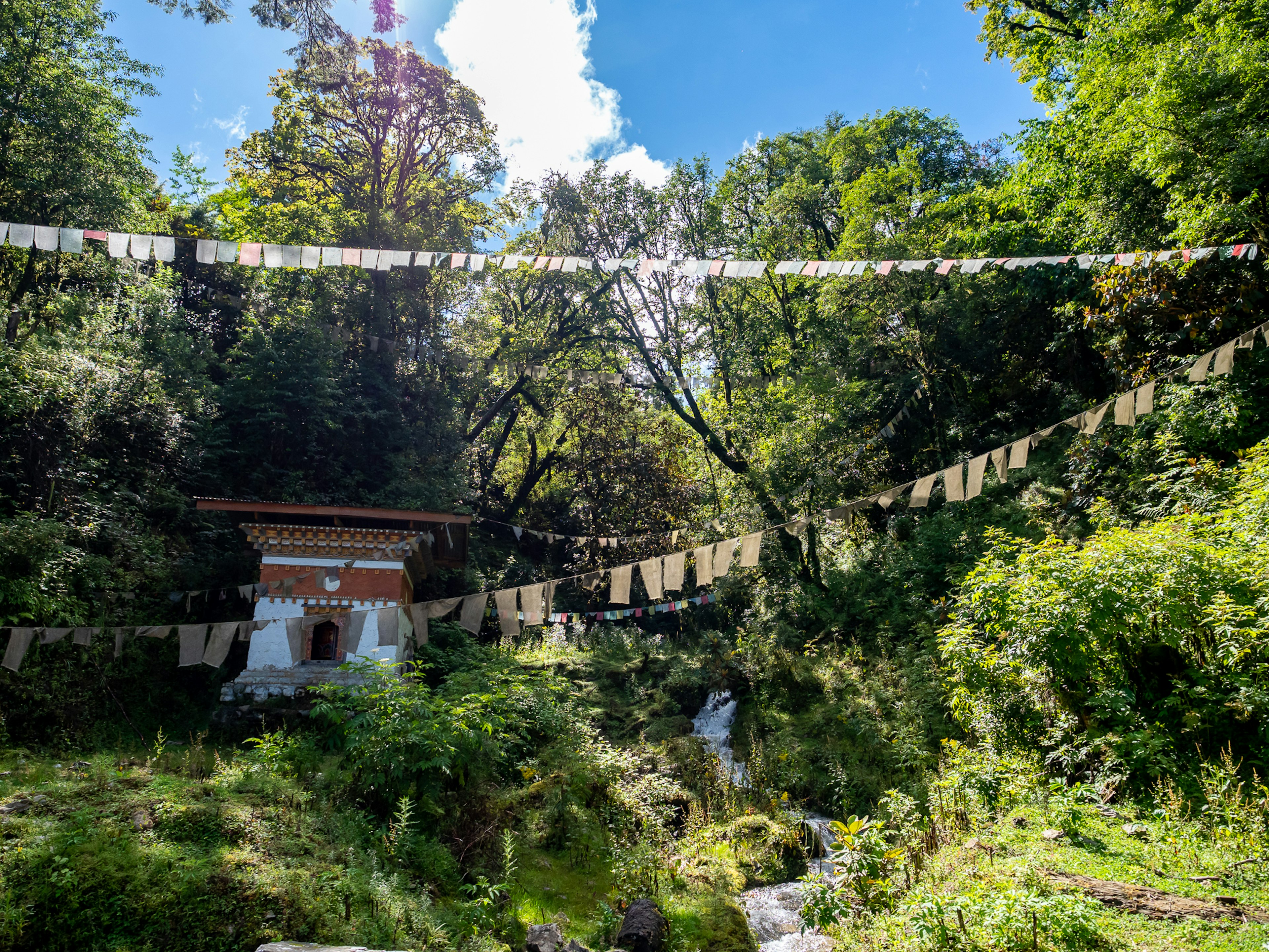 Scenic view of a small temple surrounded by lush greenery and prayer flags