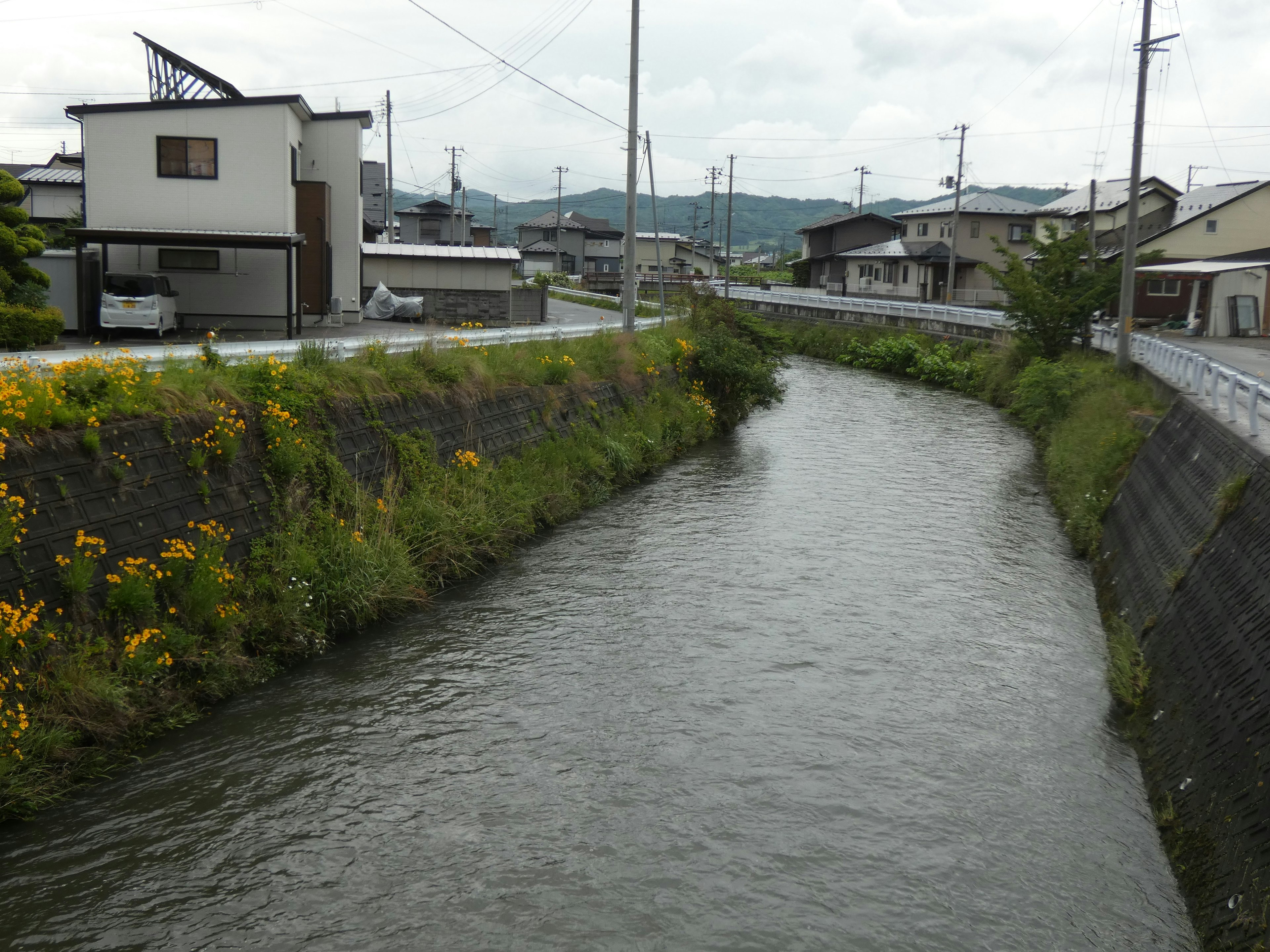 Un paisaje de río sereno bordeado de hierba verde y flores amarillas con casas al fondo