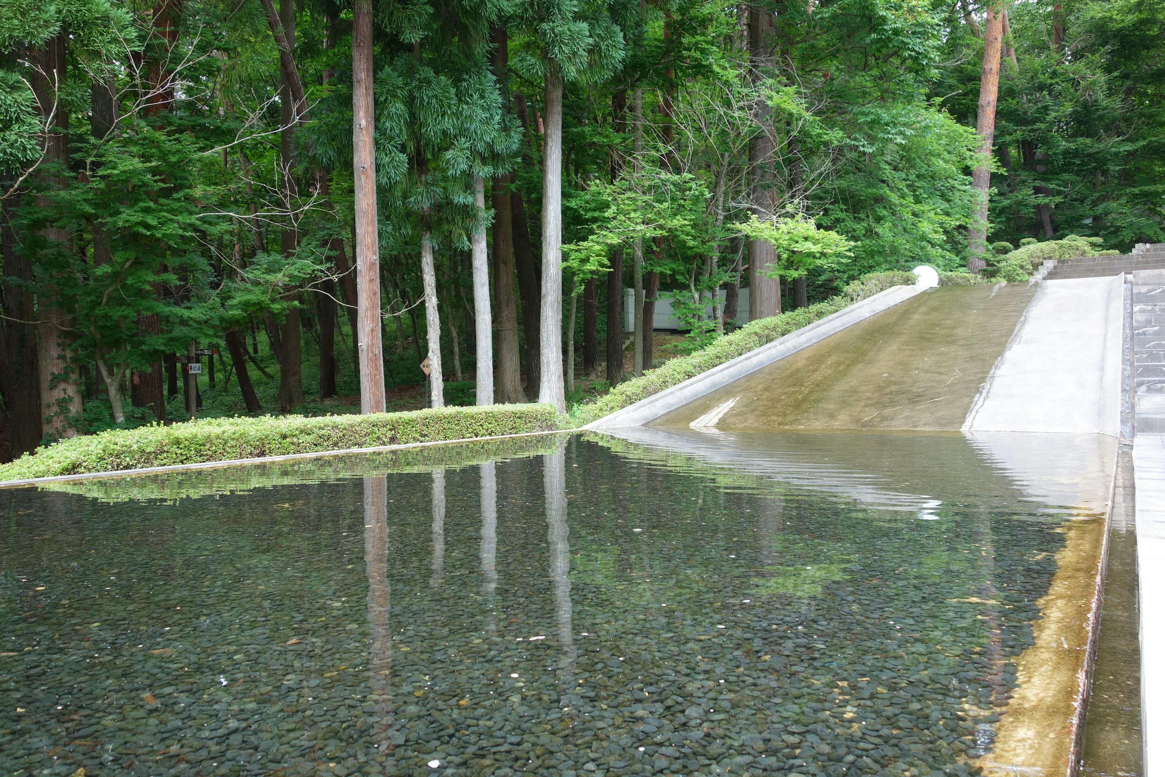 Paesaggio sereno con superficie d'acqua riflettente in una foresta