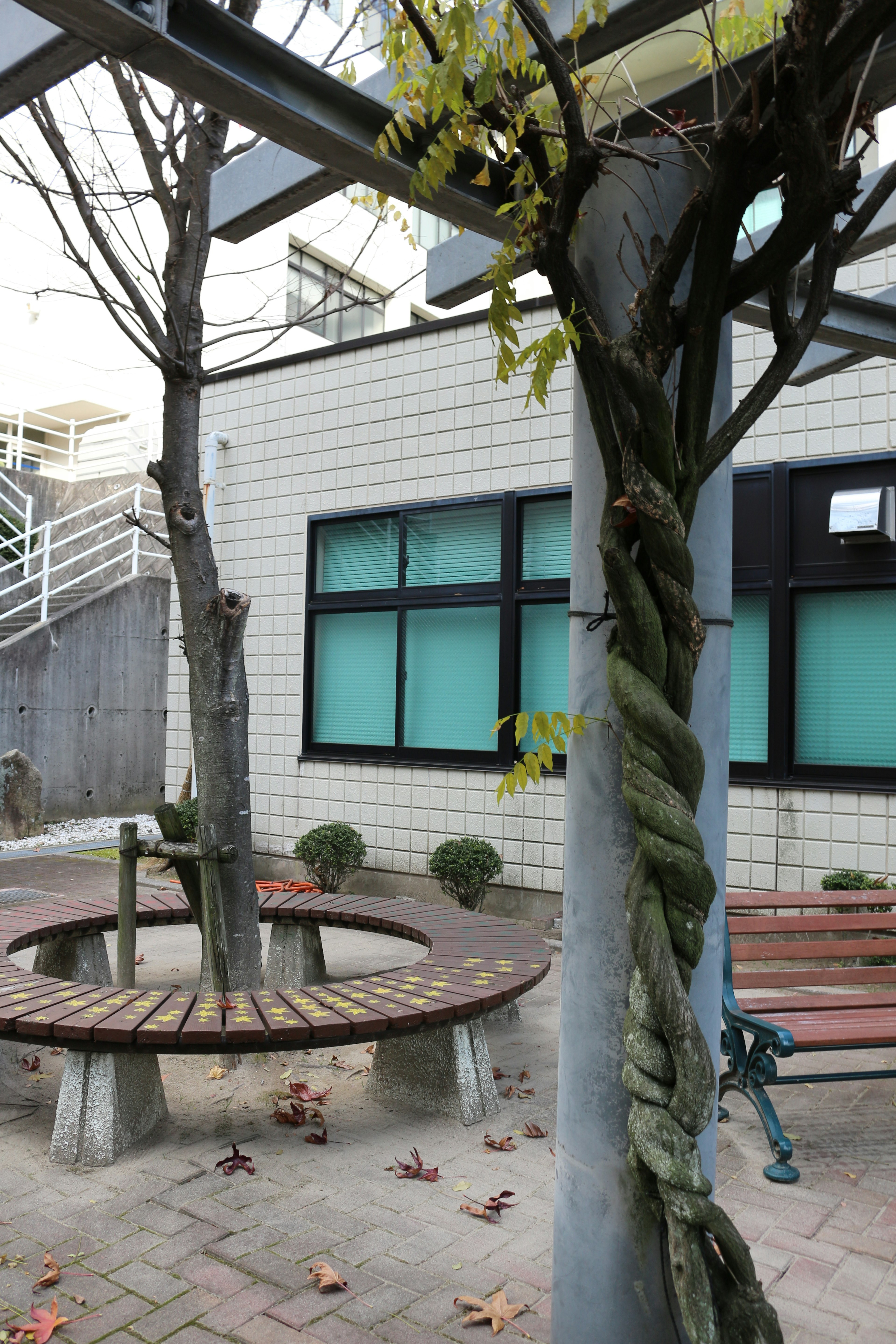 Área de descanso al aire libre con un árbol de hojas verdes y un banco circular