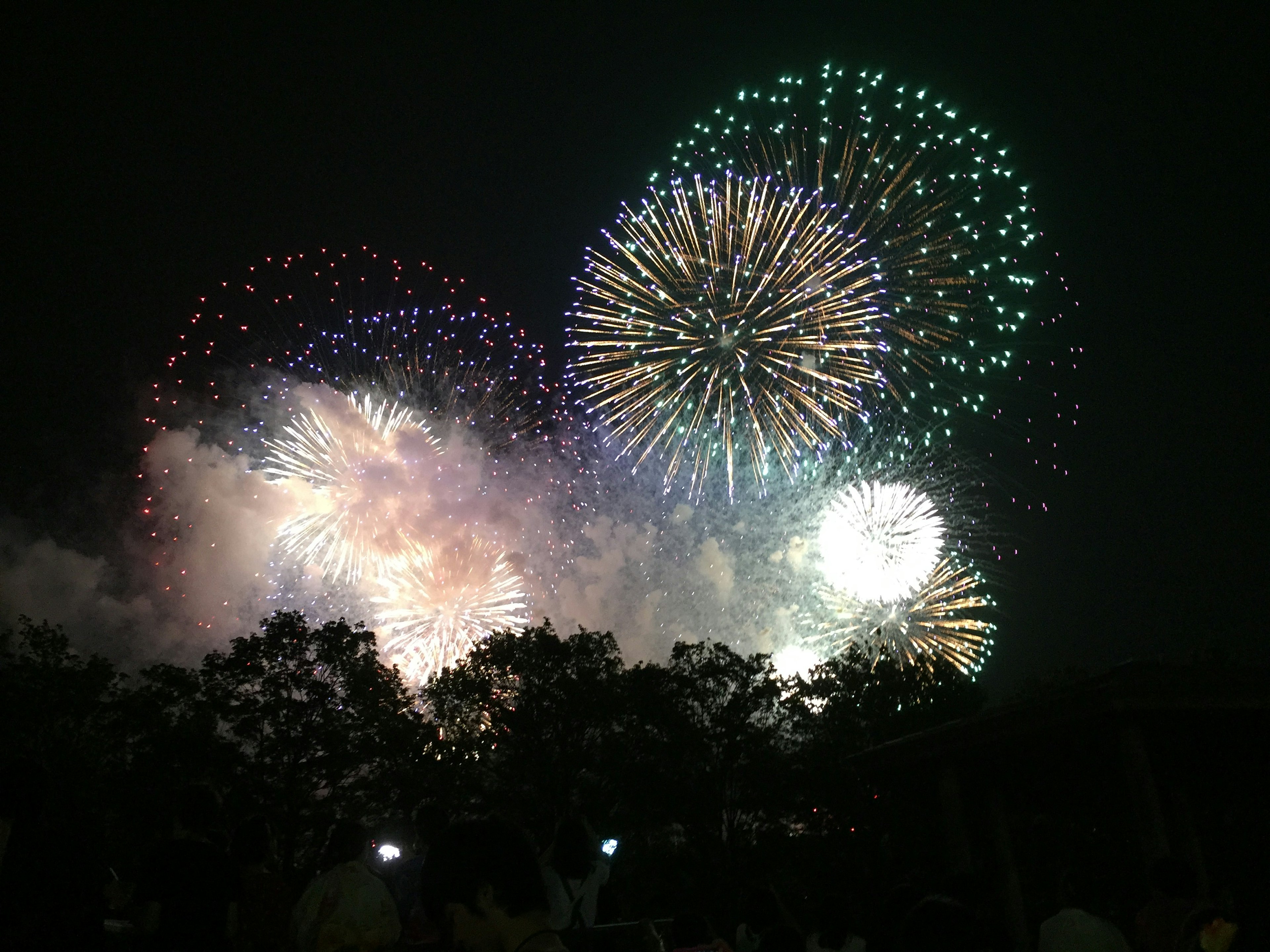 Colorful fireworks bursting in the night sky with vibrant lights