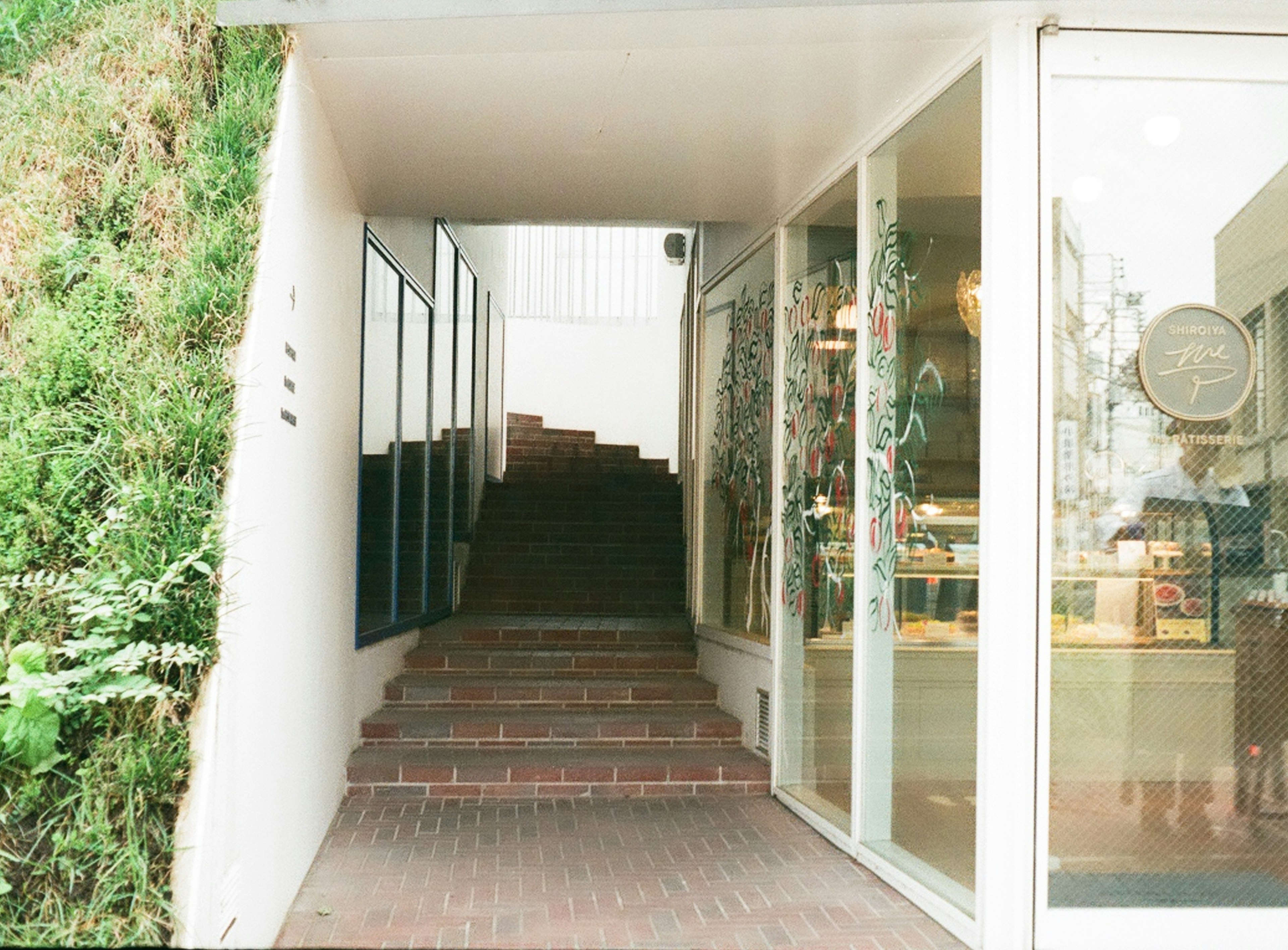 Stairs leading to a glass entrance surrounded by greenery