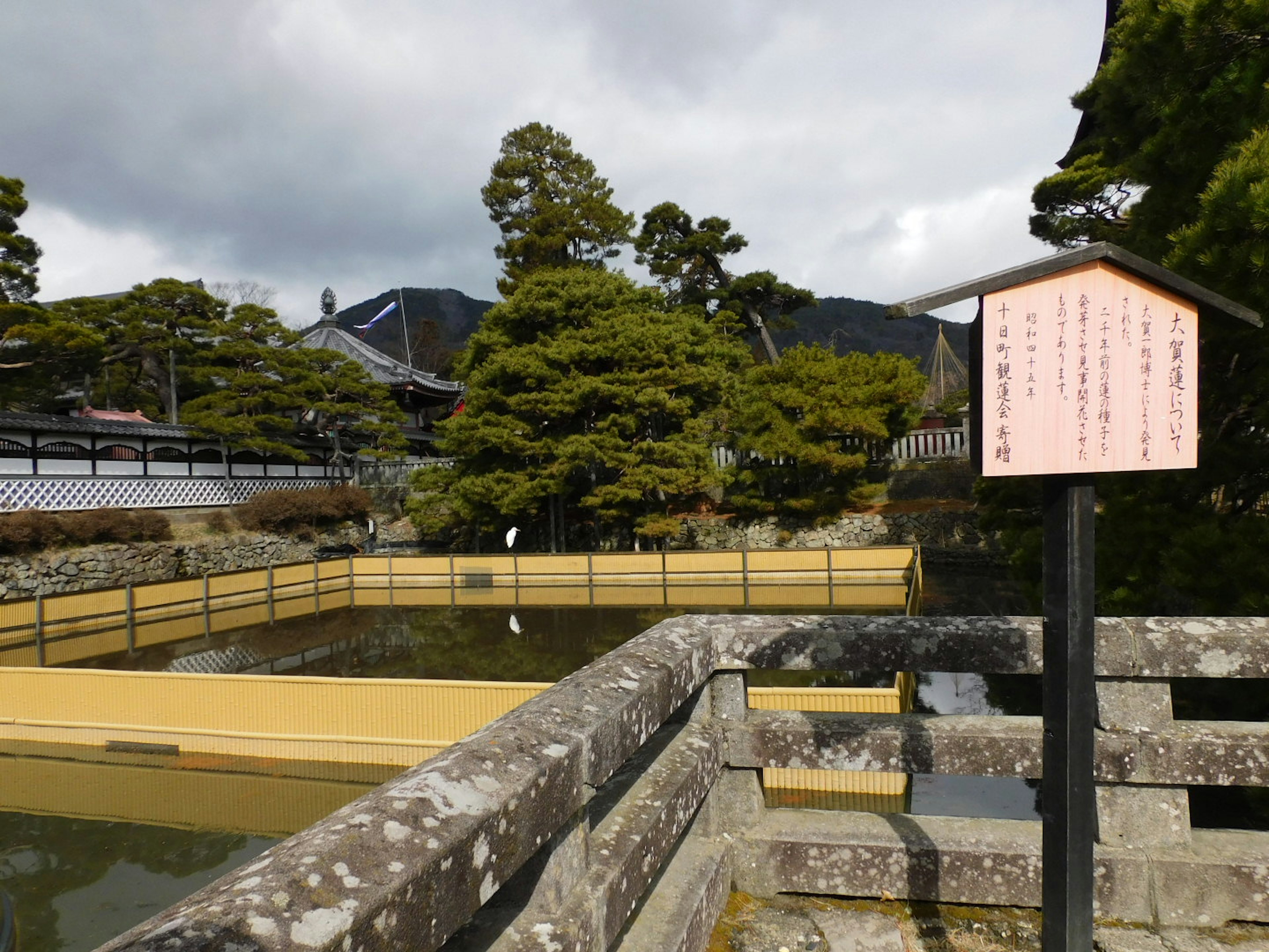 Scenic view of a garden pond with an informational sign