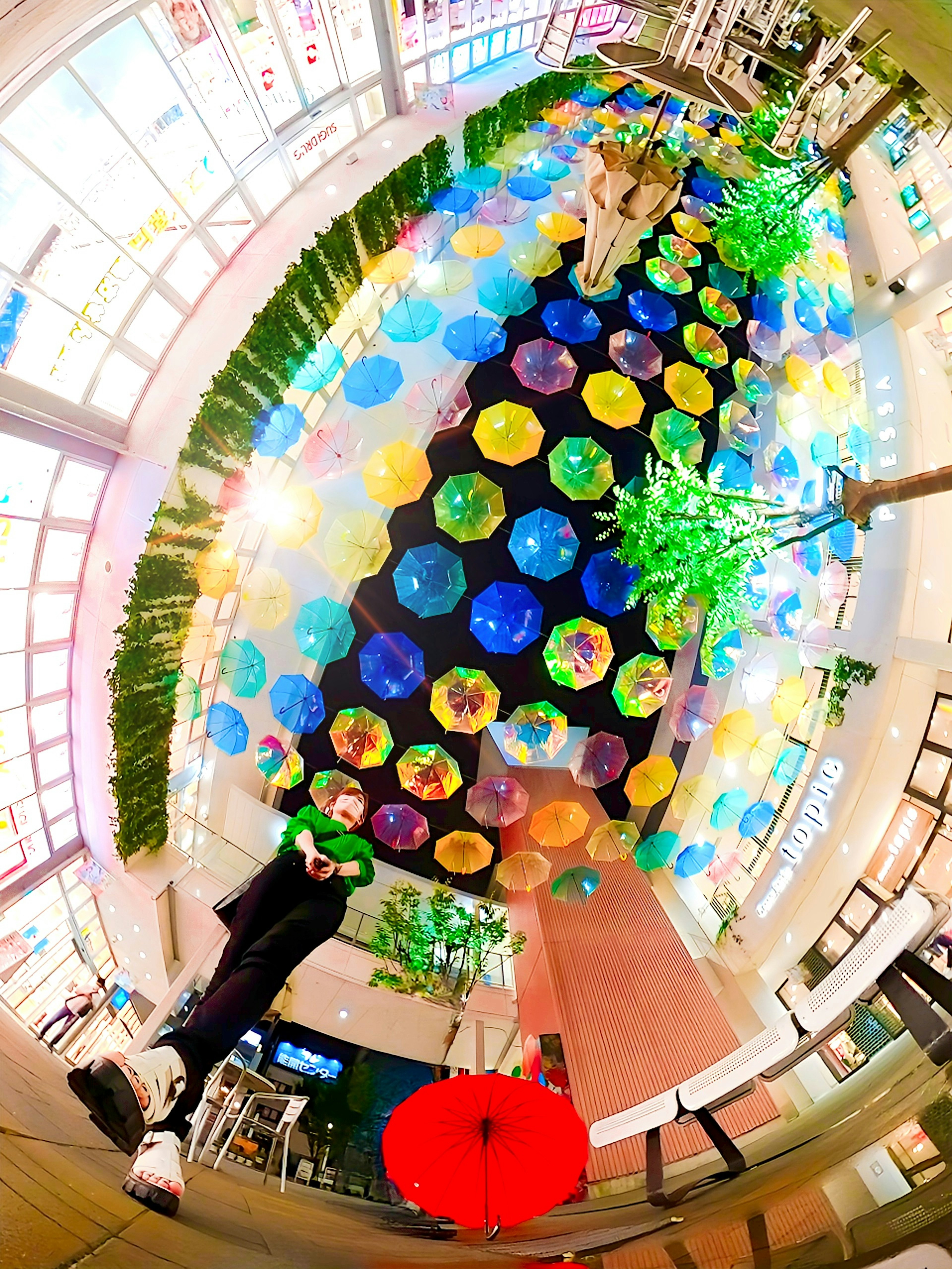 Colorful umbrellas in an indoor setting with green plants visible