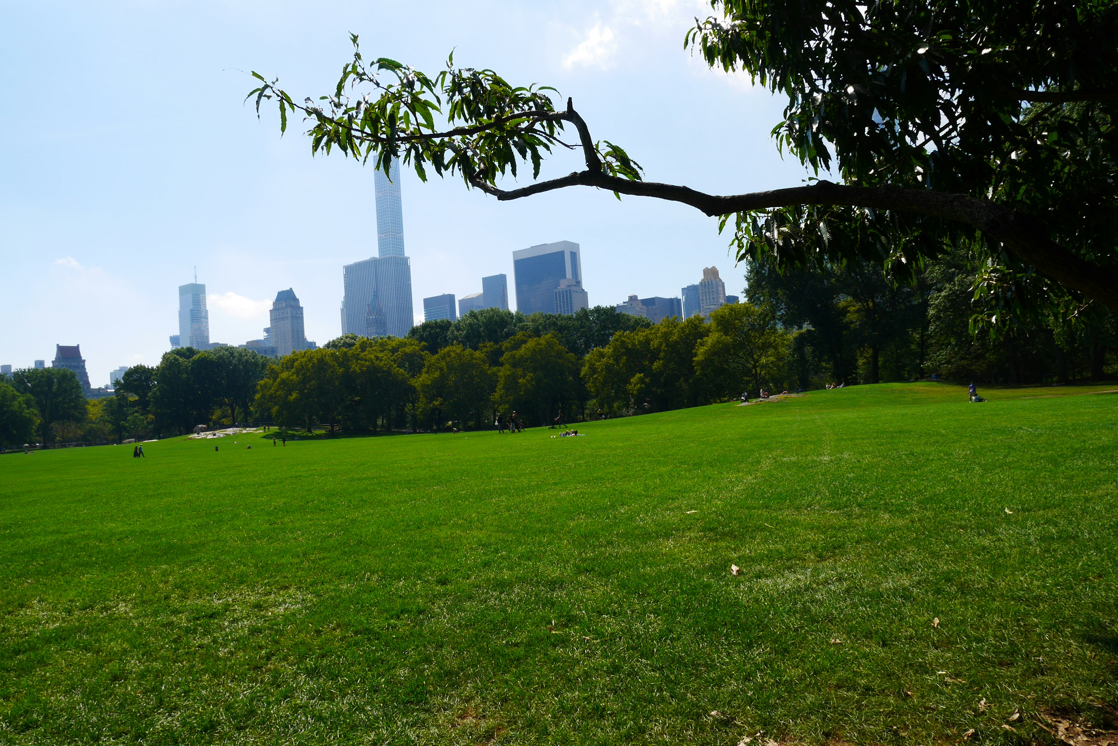 Parc verdoyant avec vue sur la skyline