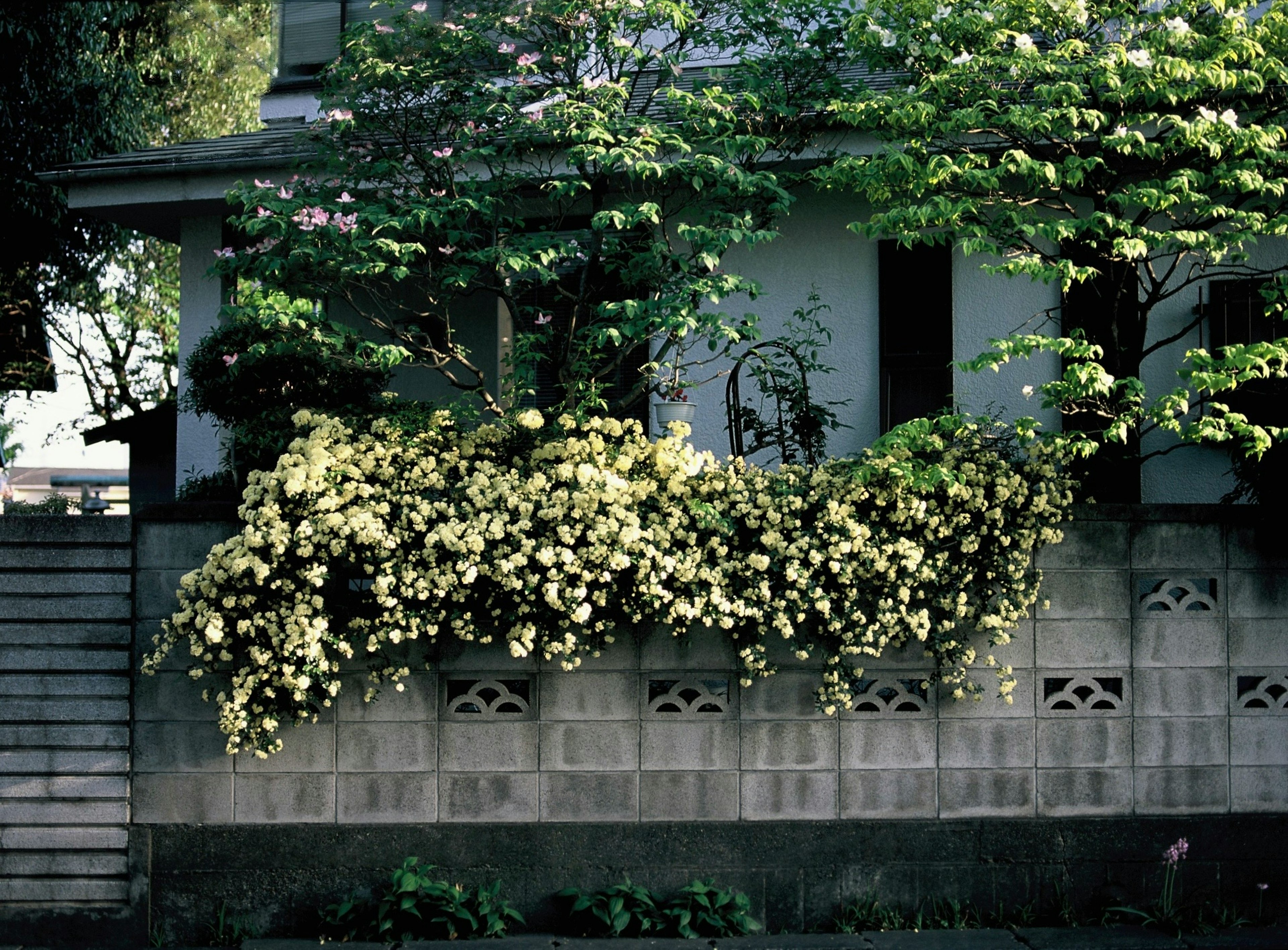photo-3GX4TbPSndakgKfSVzmt-image