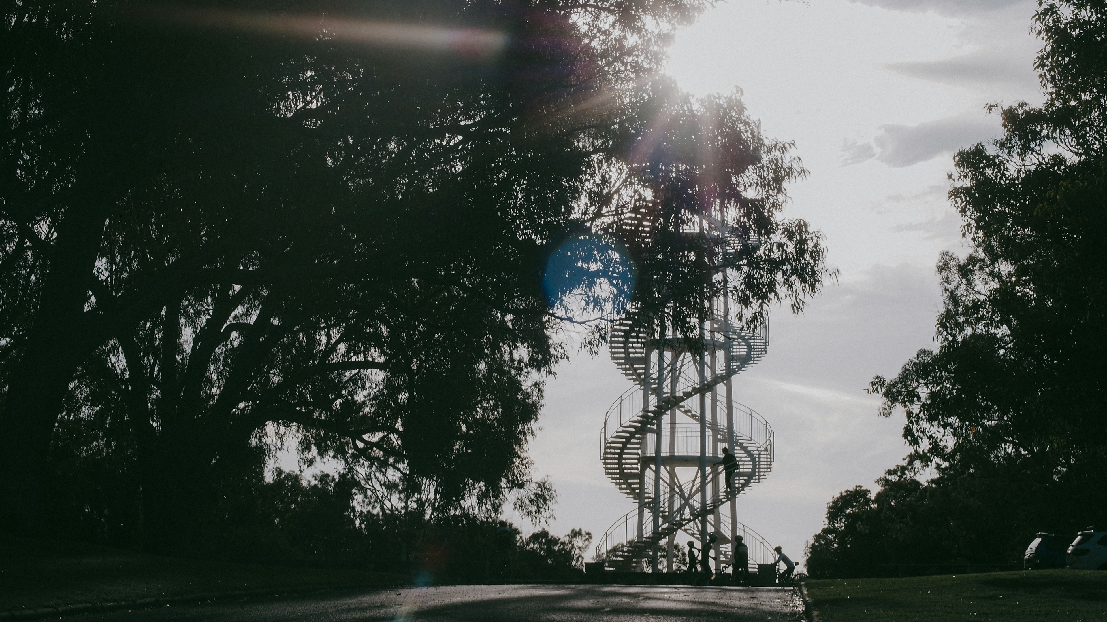 Menara pengamatan spiral terlihat di antara pepohonan dengan sinar matahari