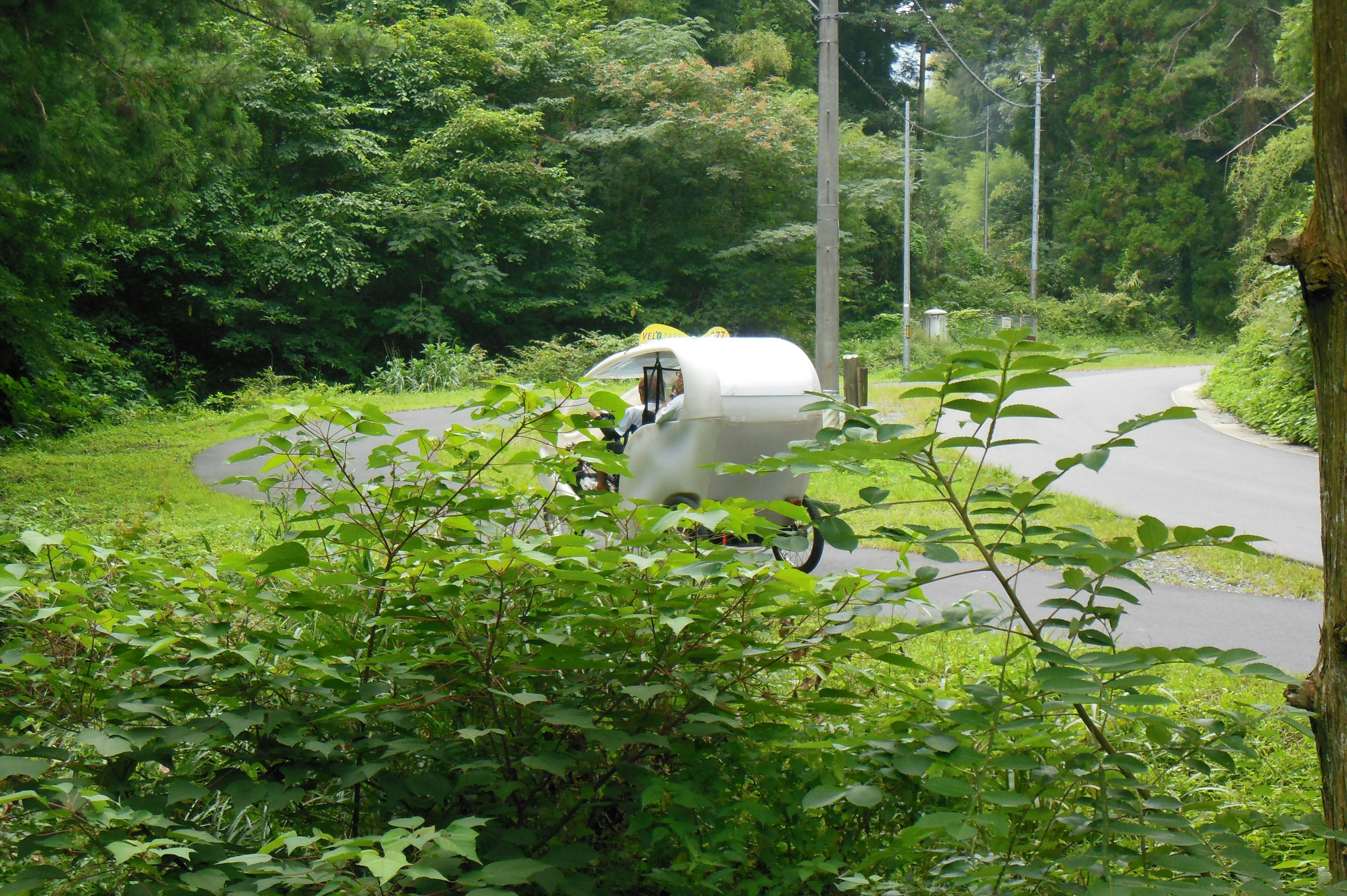 Sebuah robot putih yang mengintip dari semak-semak di lanskap hijau yang subur