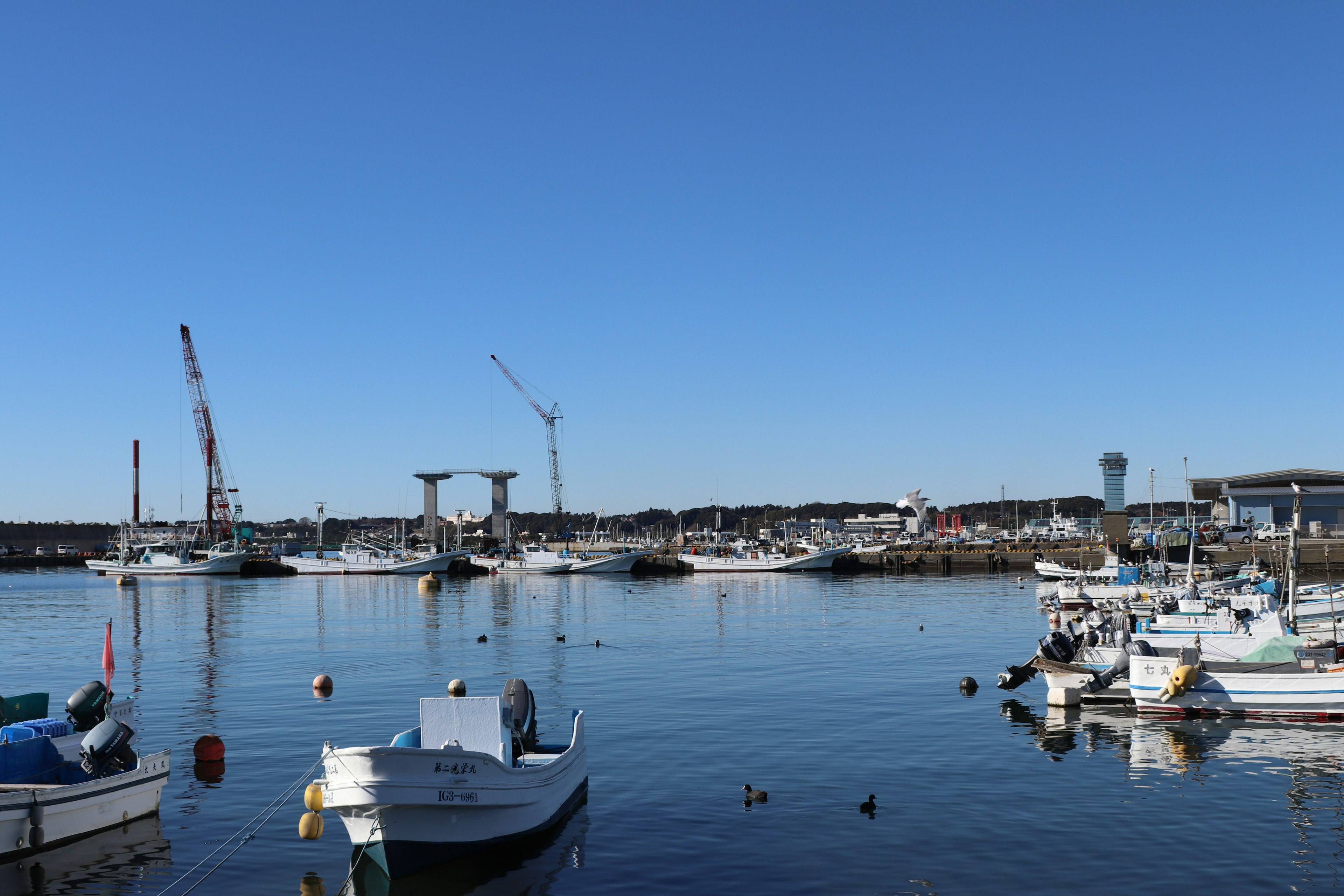 Small boats in a tranquil harbor with construction cranes in the background