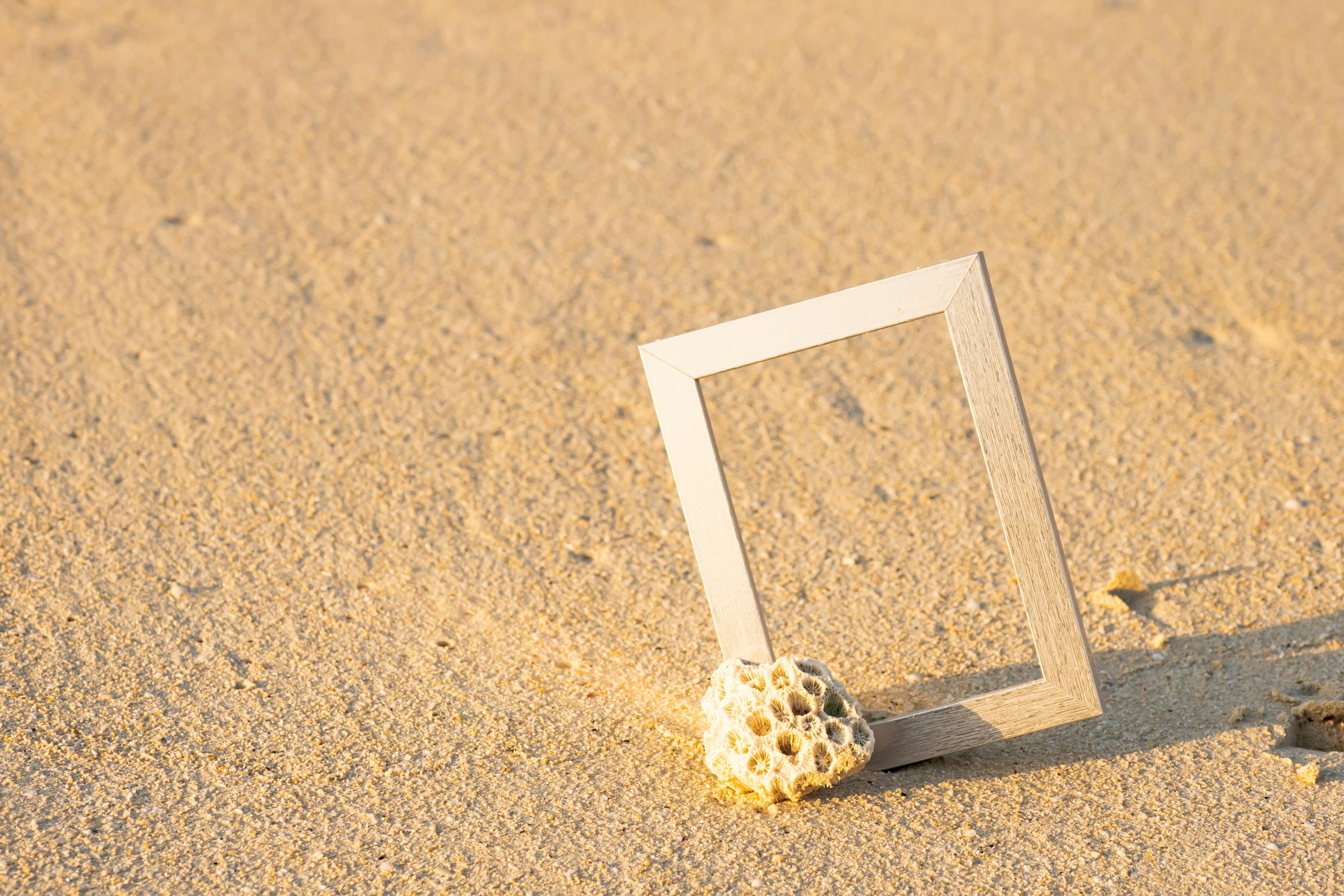 Cadre blanc posé sur une plage de sable avec une coquille