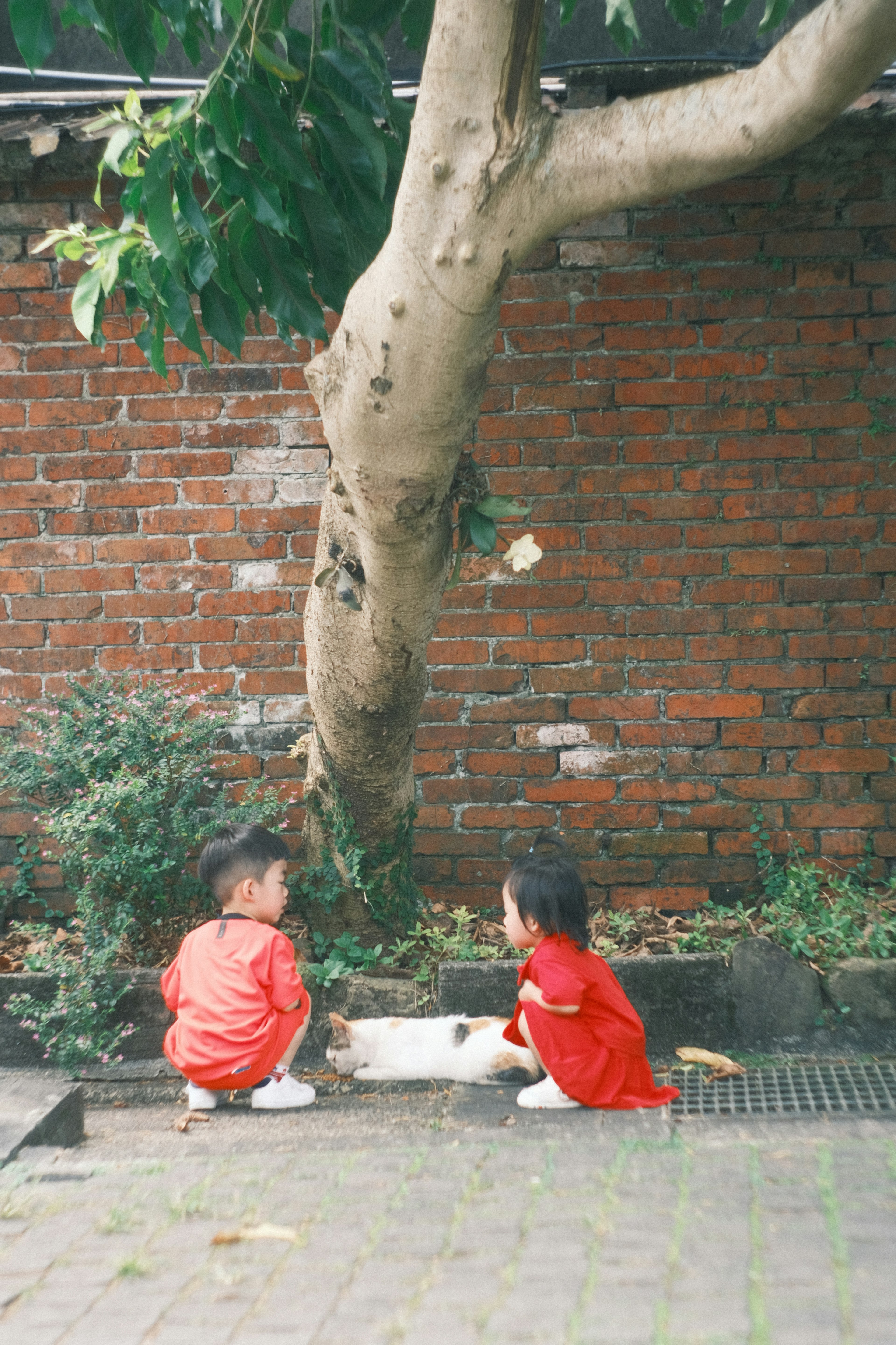 Two children in red outfits playing with a cat under a tree